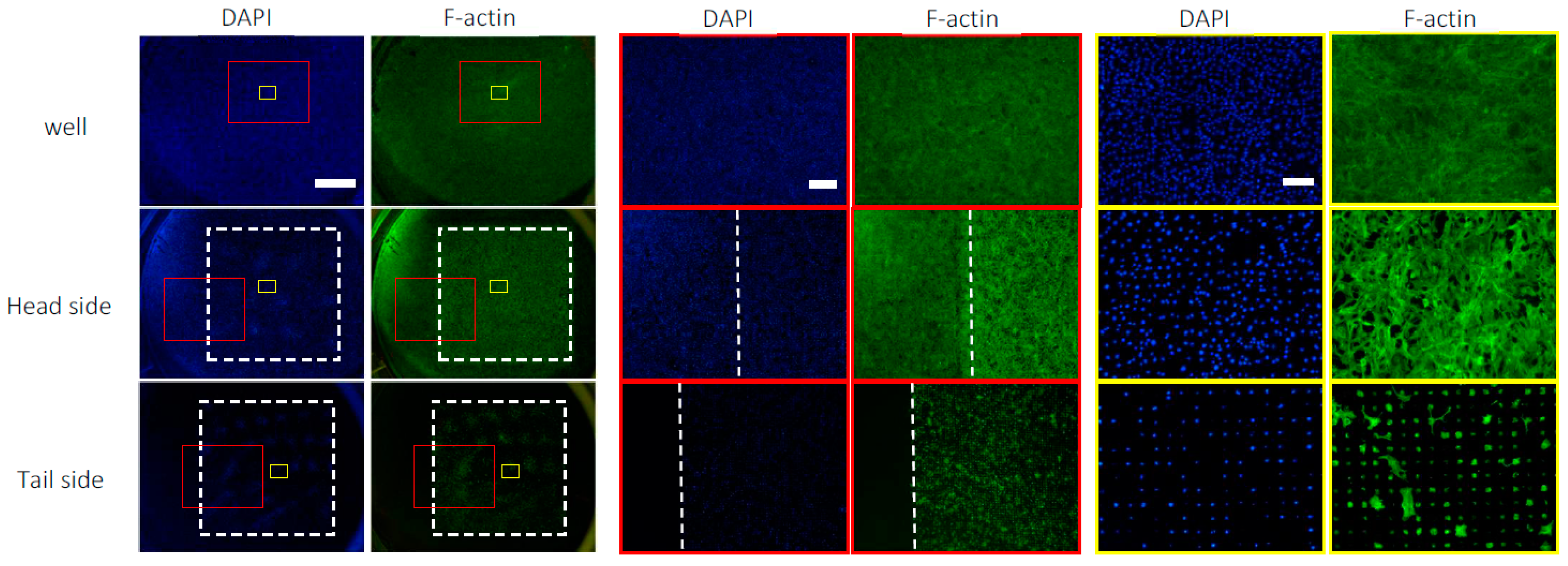 Materials 16 01165 g005 Materials 16 01165 g005