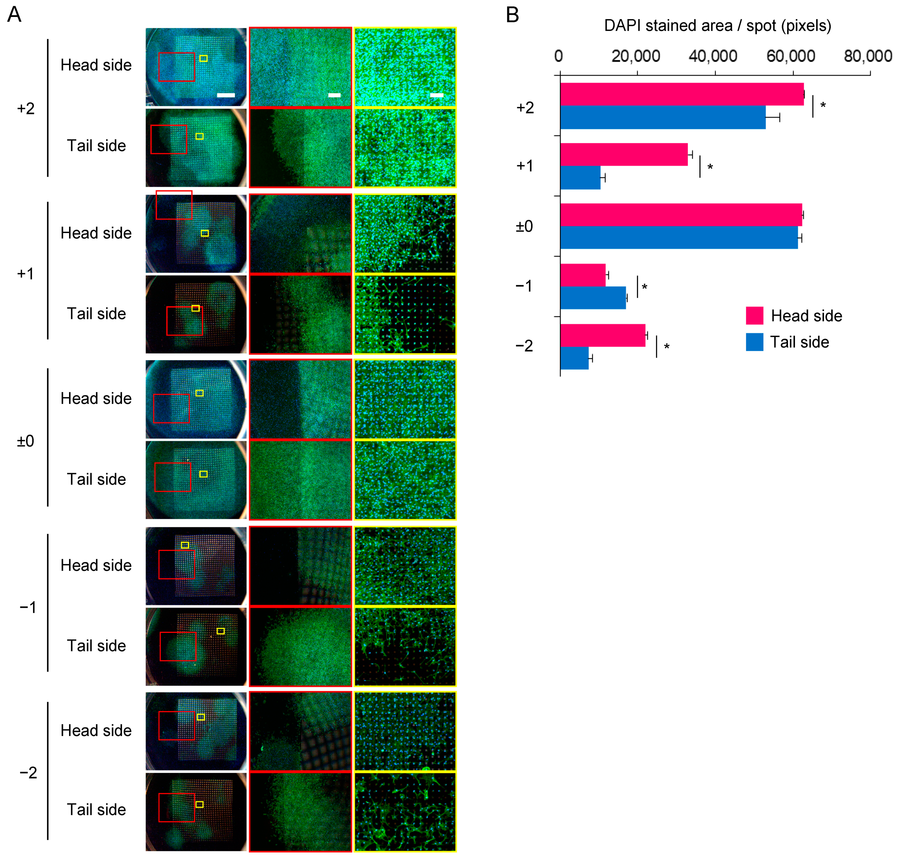 Materials 16 01165 g006 Materials 16 01165 g006