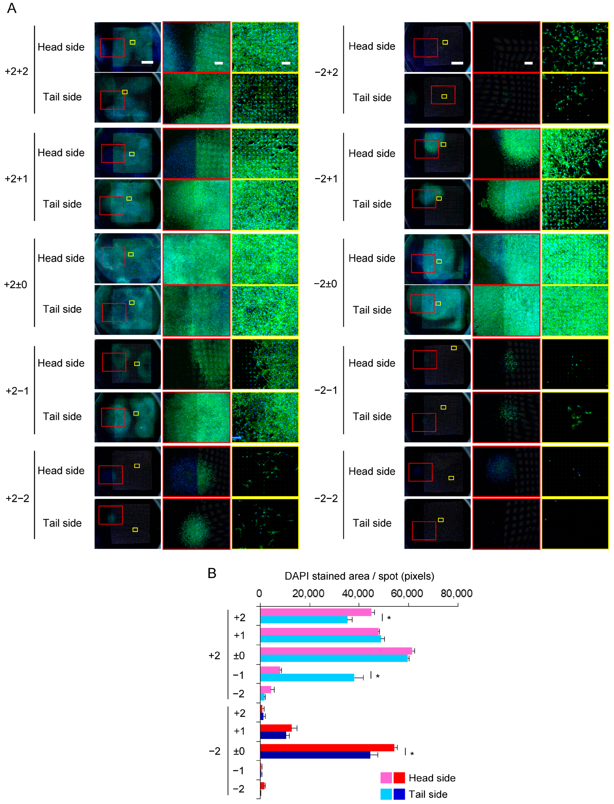 Materials 16 01165 g007 Materials 16 01165 g007