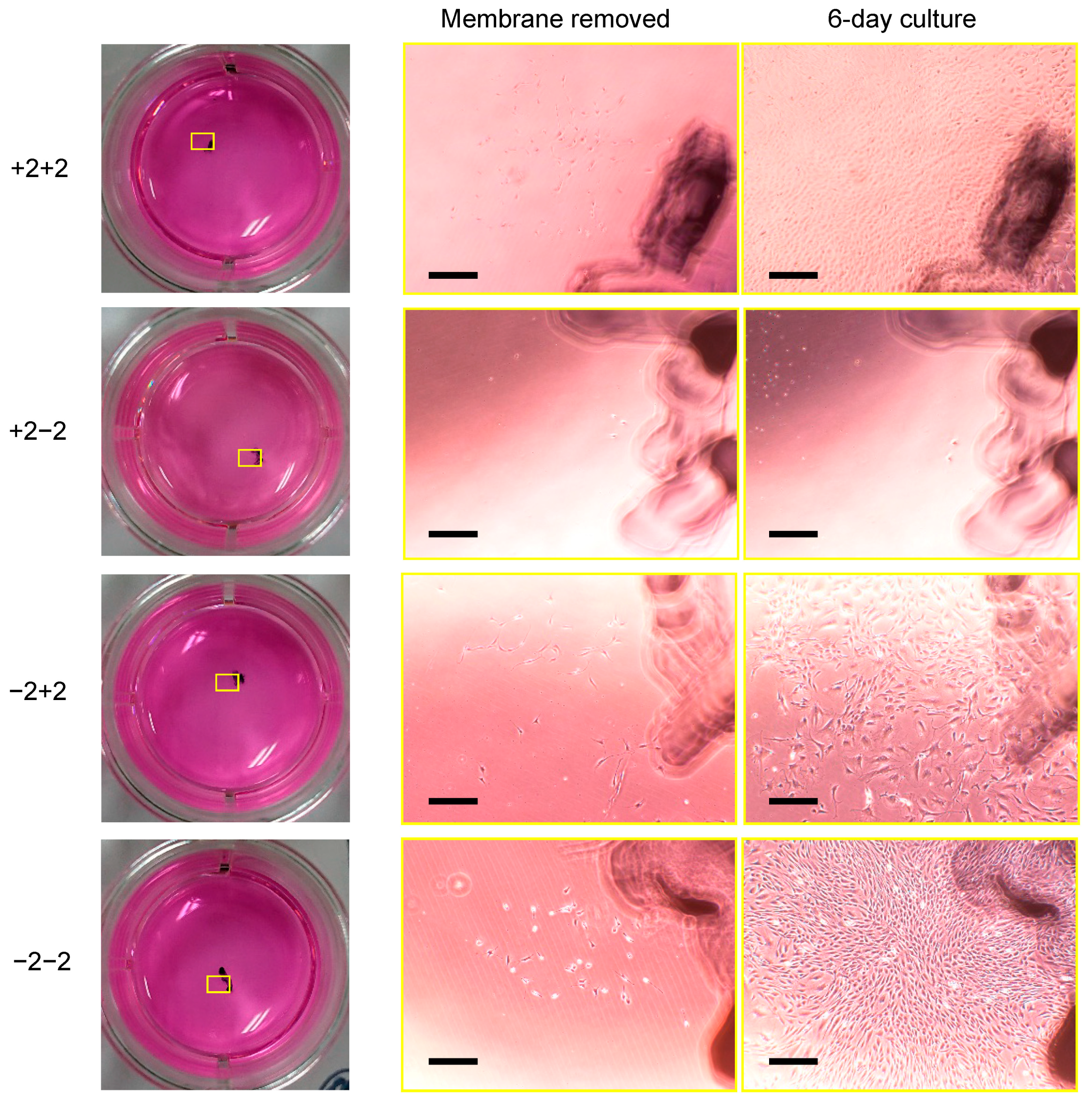 Materials 16 01165 g008 Materials 16 01165 g008