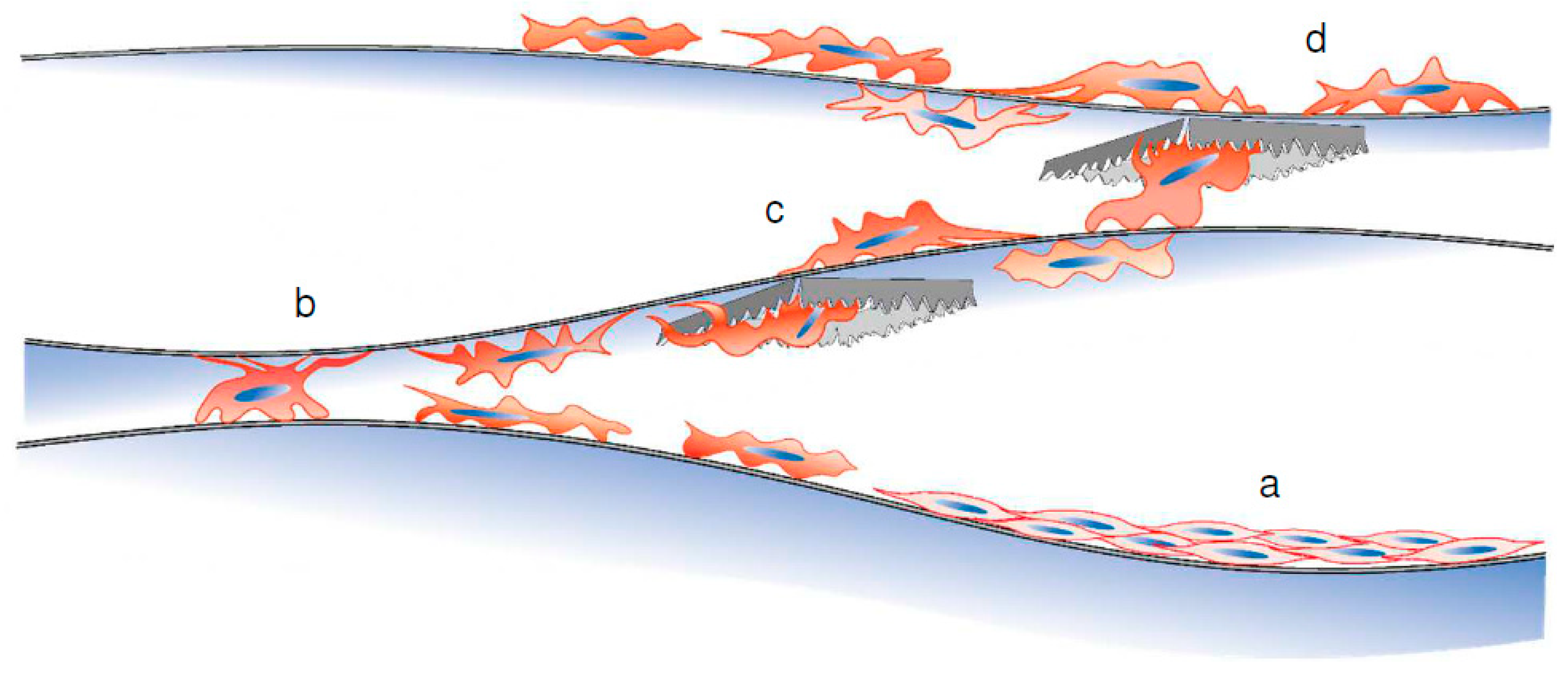 Materials 16 01165 g009 Materials 16 01165 g009