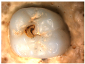 Materials 16 01171 i008 Materials 16 01171 i008