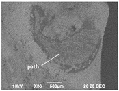 Materials 16 01171 i010 Materials 16 01171 i010