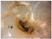 Materials 16 01171 i012 Materials 16 01171 i012