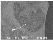 Materials 16 01171 i013 Materials 16 01171 i013