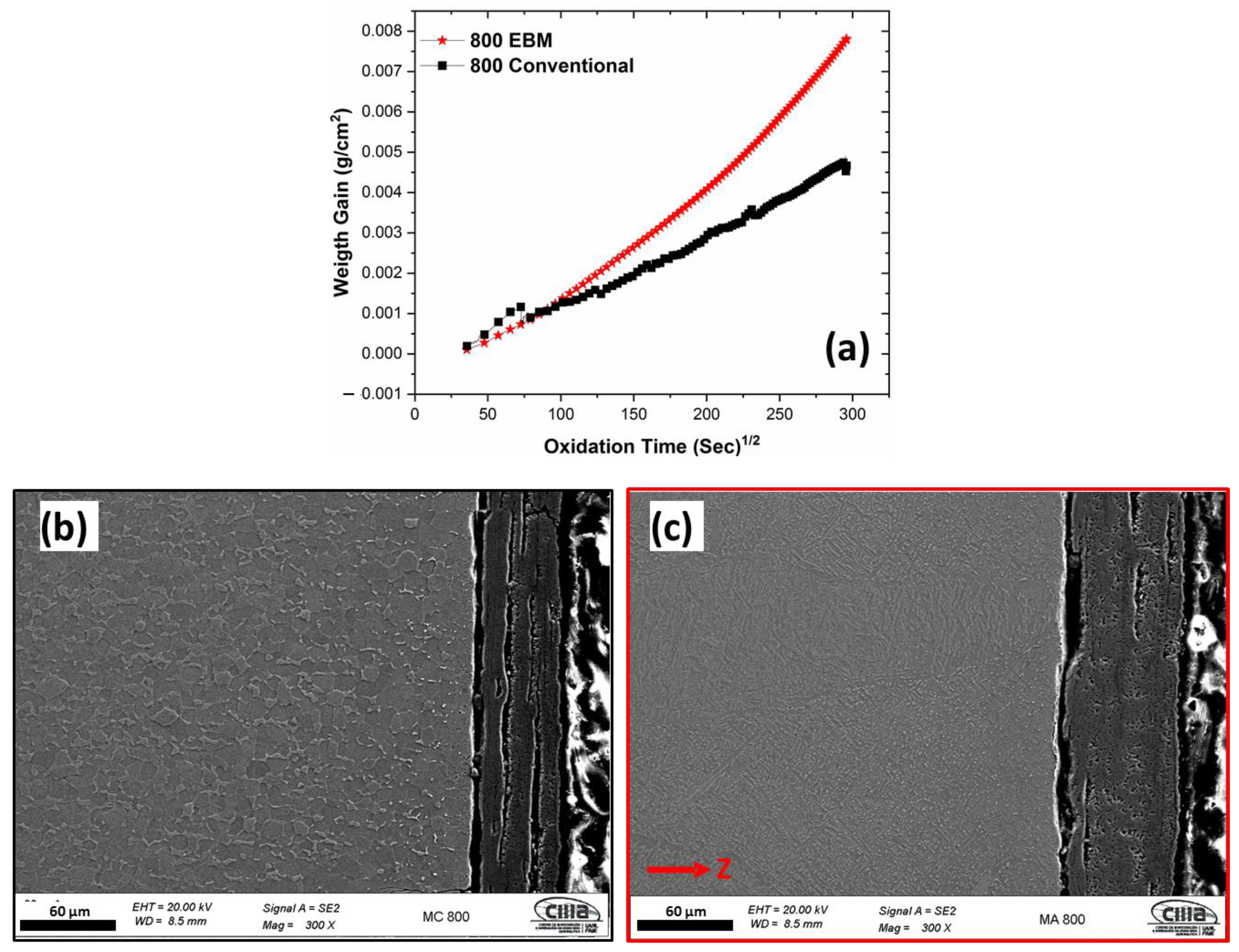 Materials 16 01187 g005 Materials 16 01187 g005