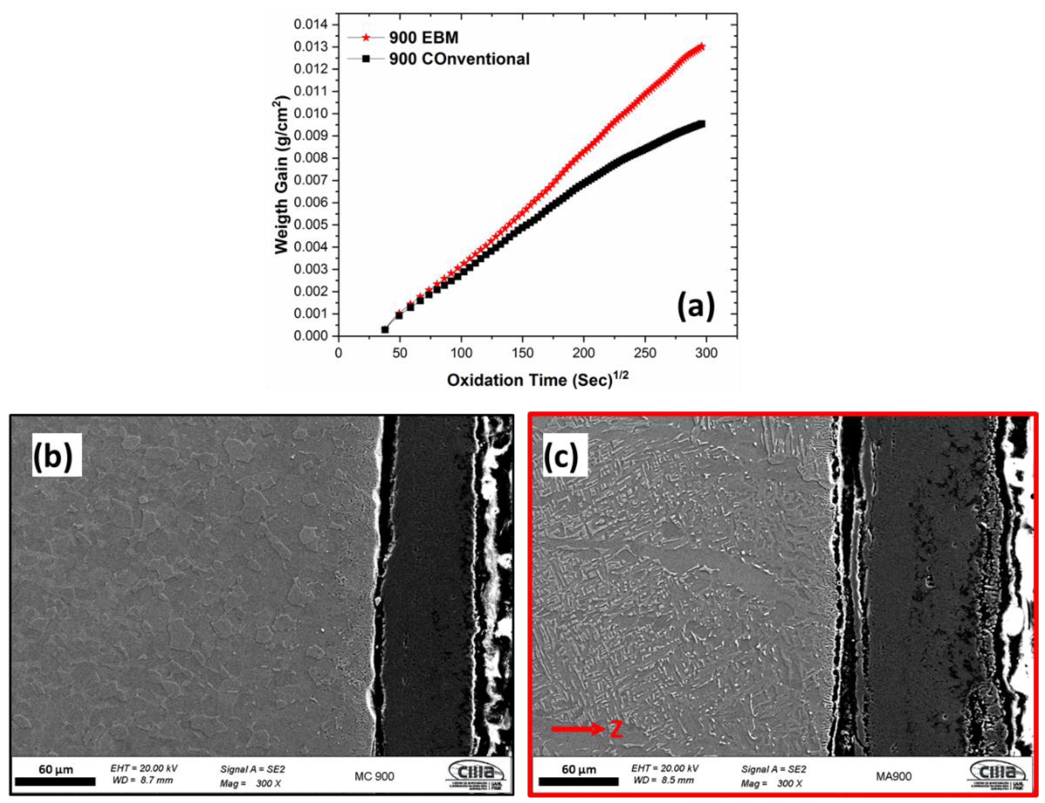 Materials 16 01187 g006 Materials 16 01187 g006