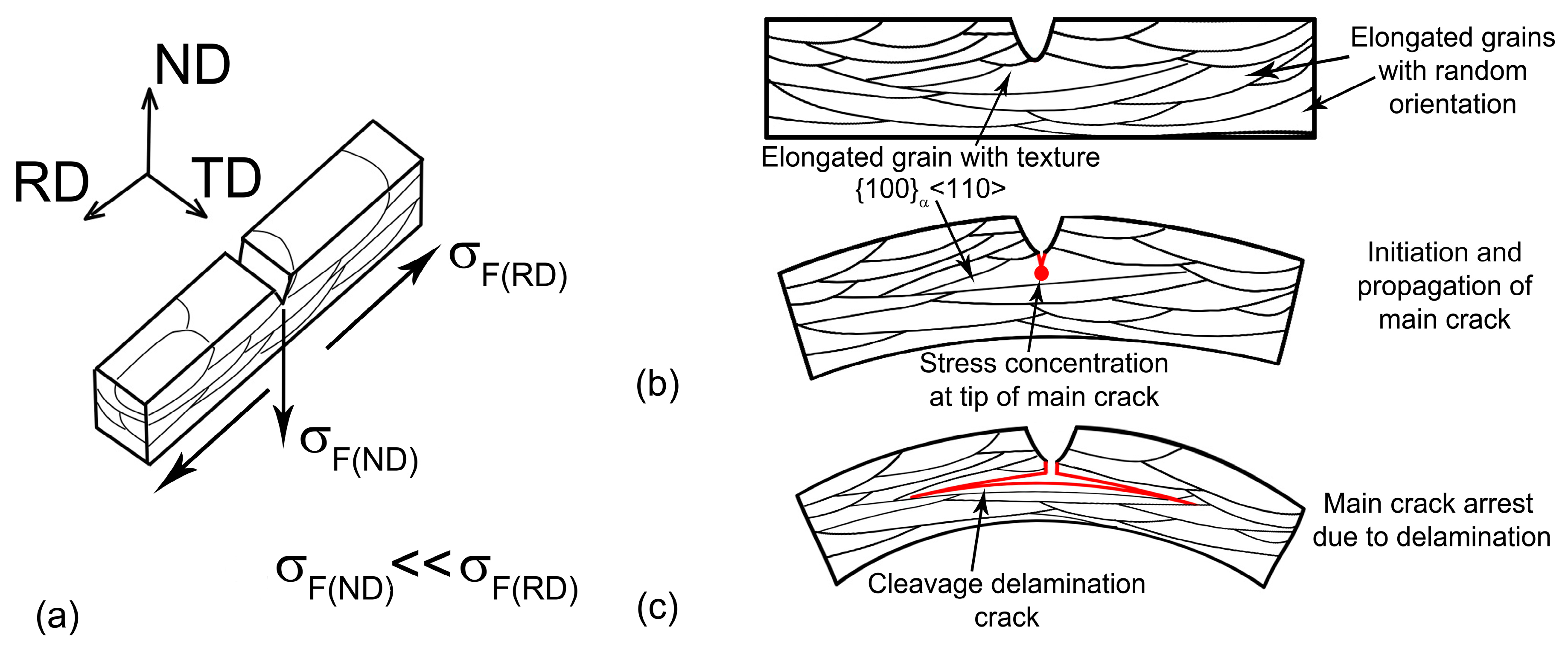 Materials 16 01202 g010 Materials 16 01202 g010