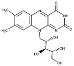 Materials 16 01218 i002