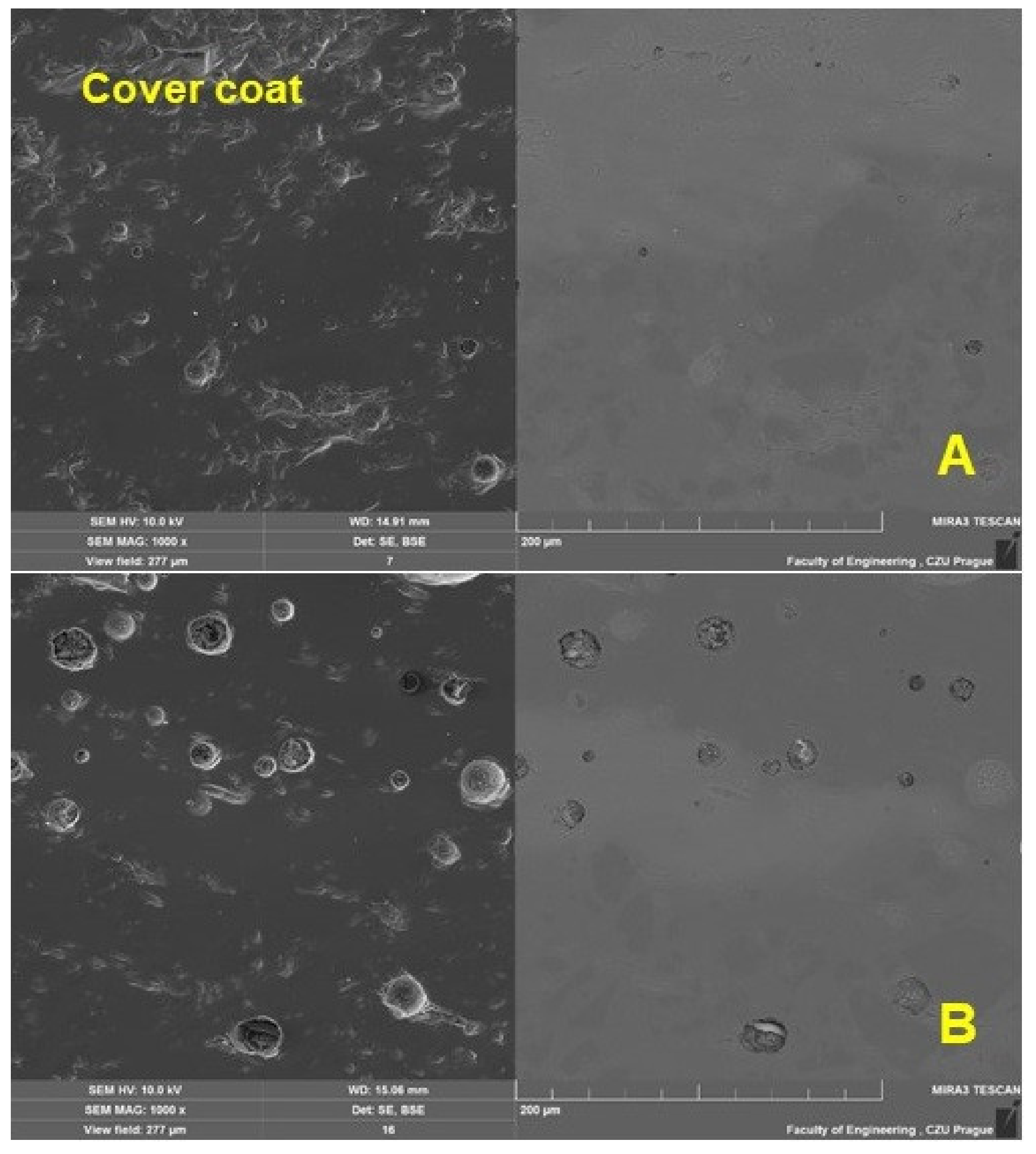 Materials 16 01224 g008