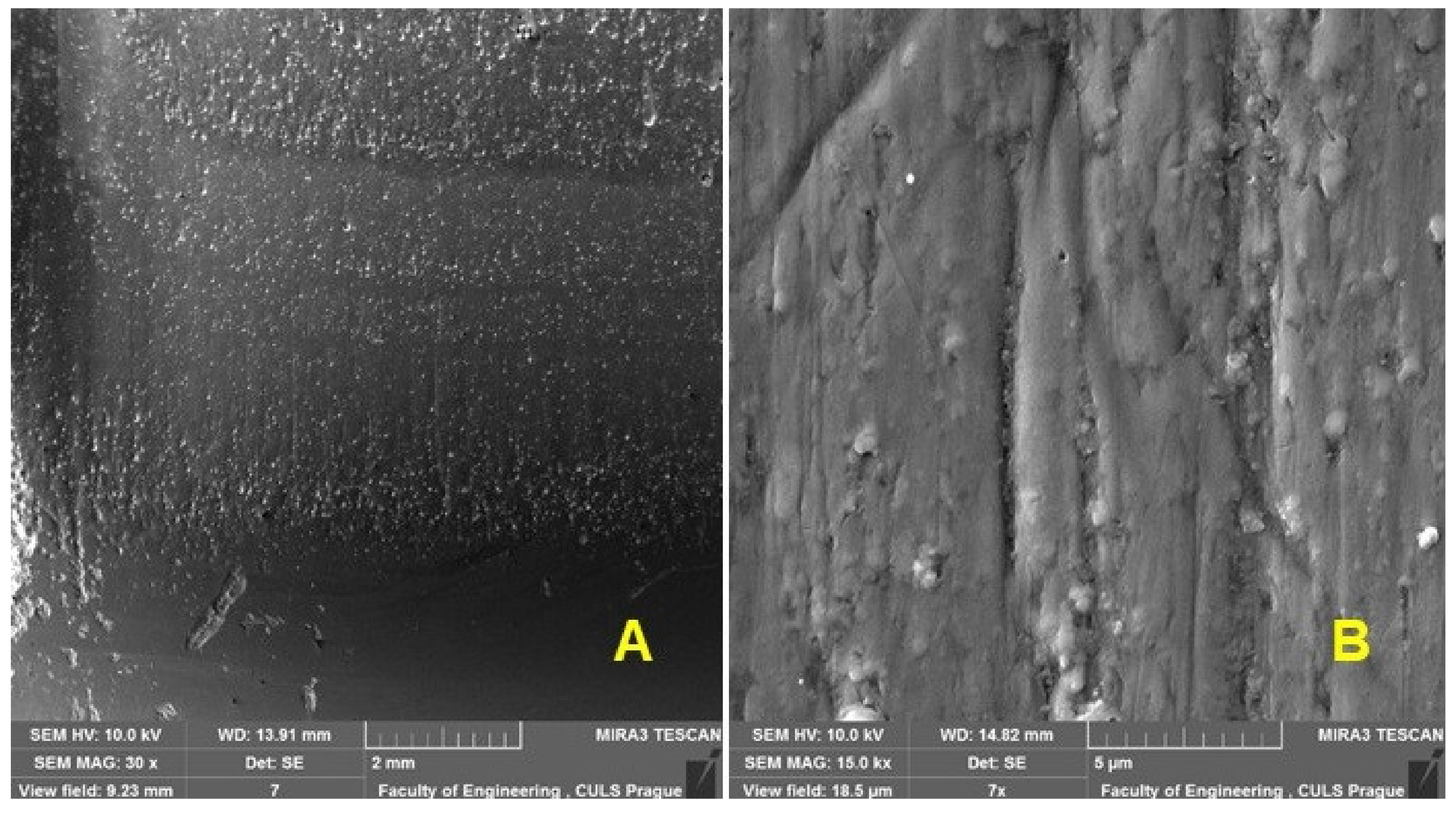 Materials 16 01224 g012
