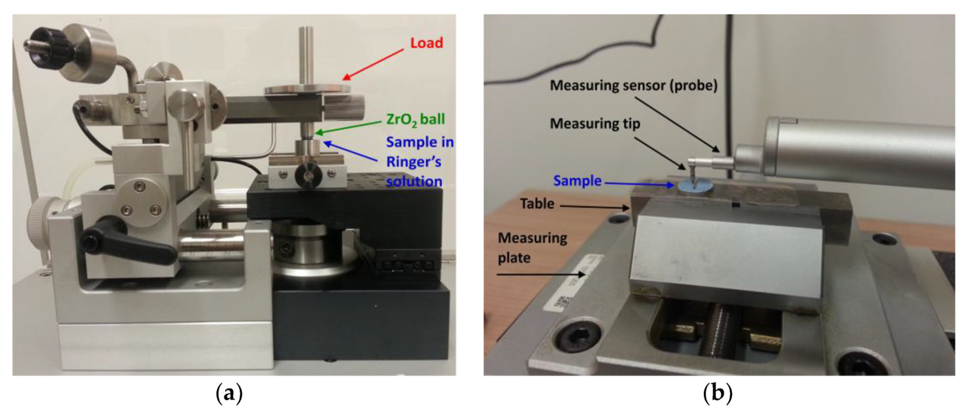 Materials 16 01237 g001