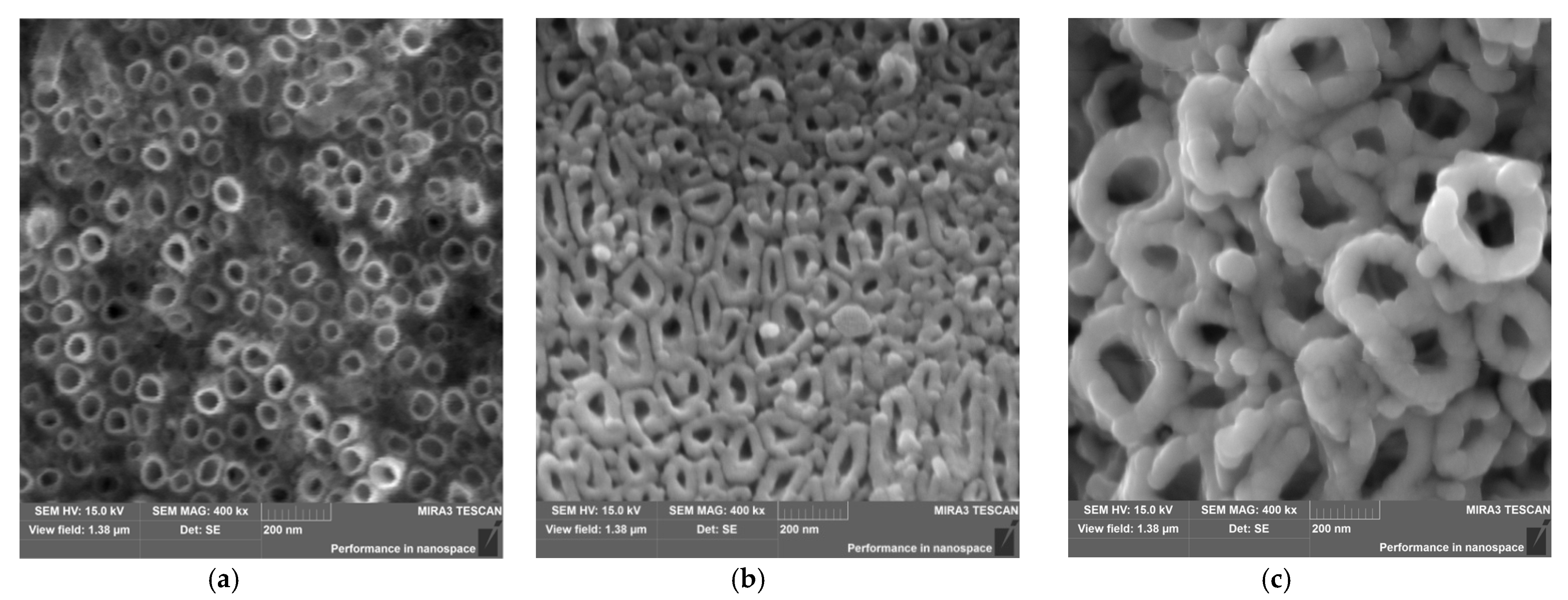 Materials 16 01237 g002