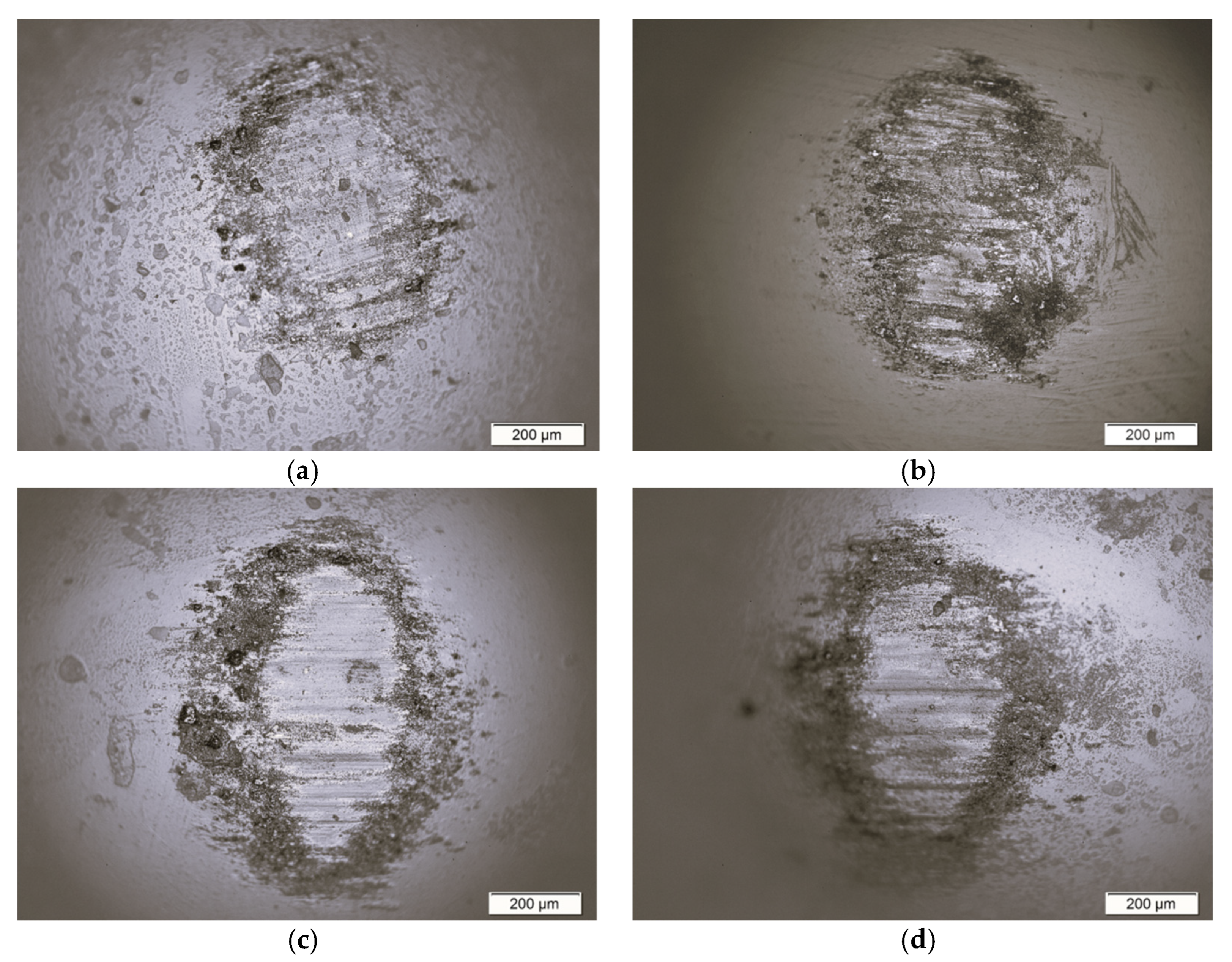 Materials 16 01237 g004