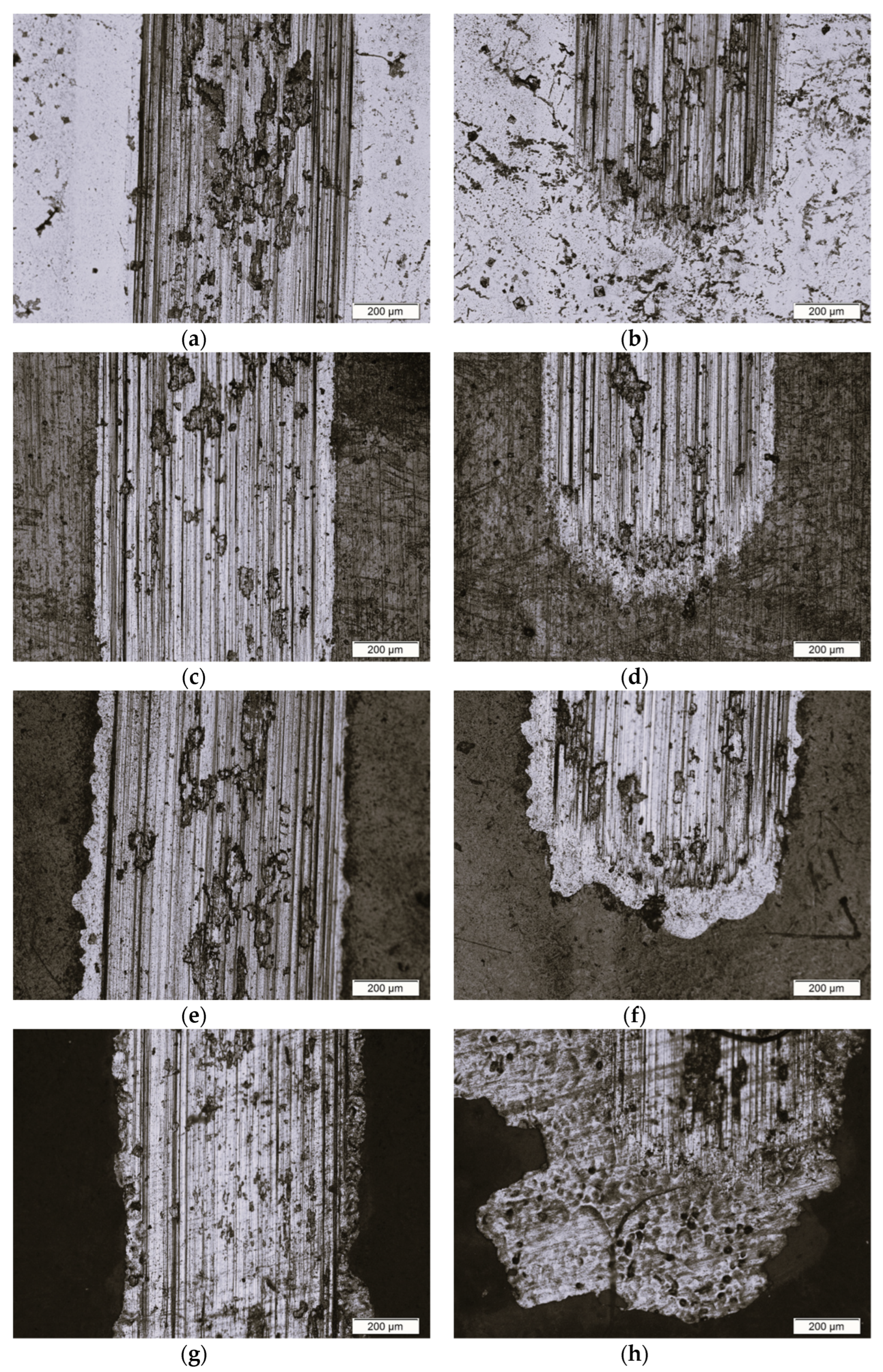Materials 16 01237 g011
