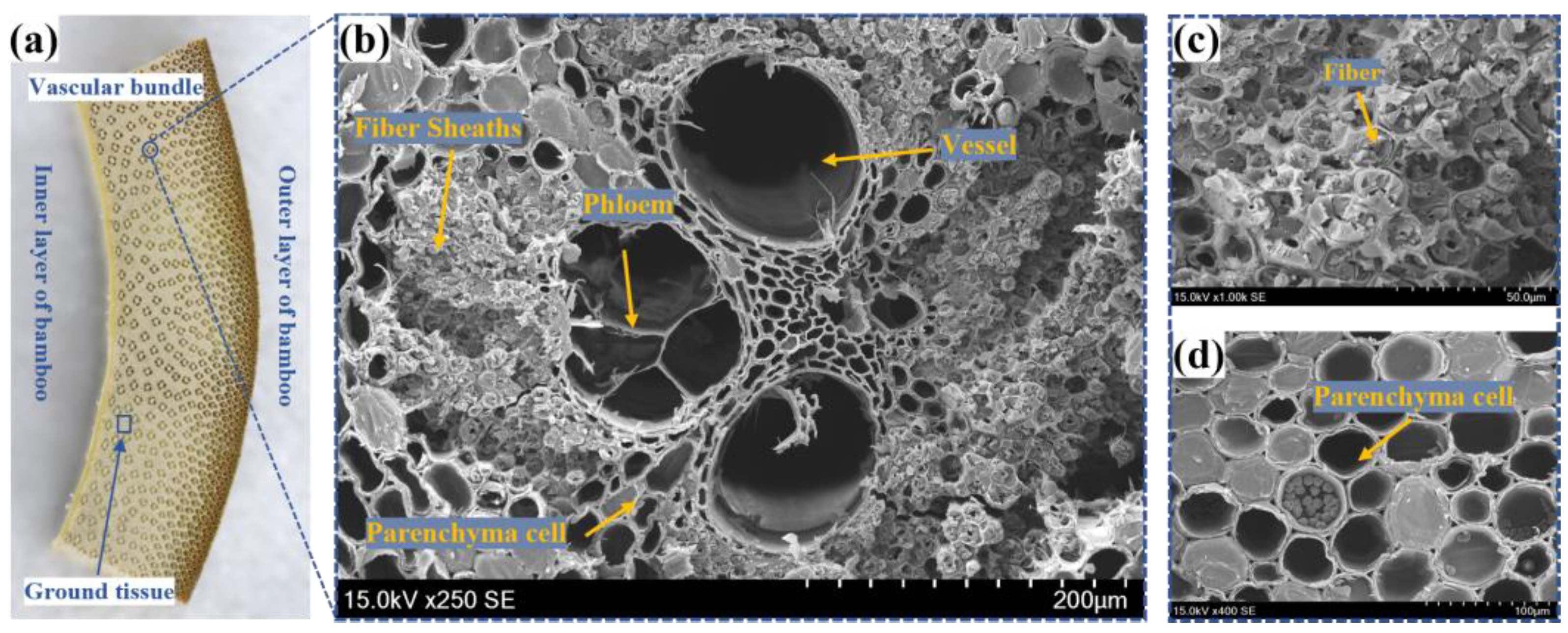Materials 16 01239 g001