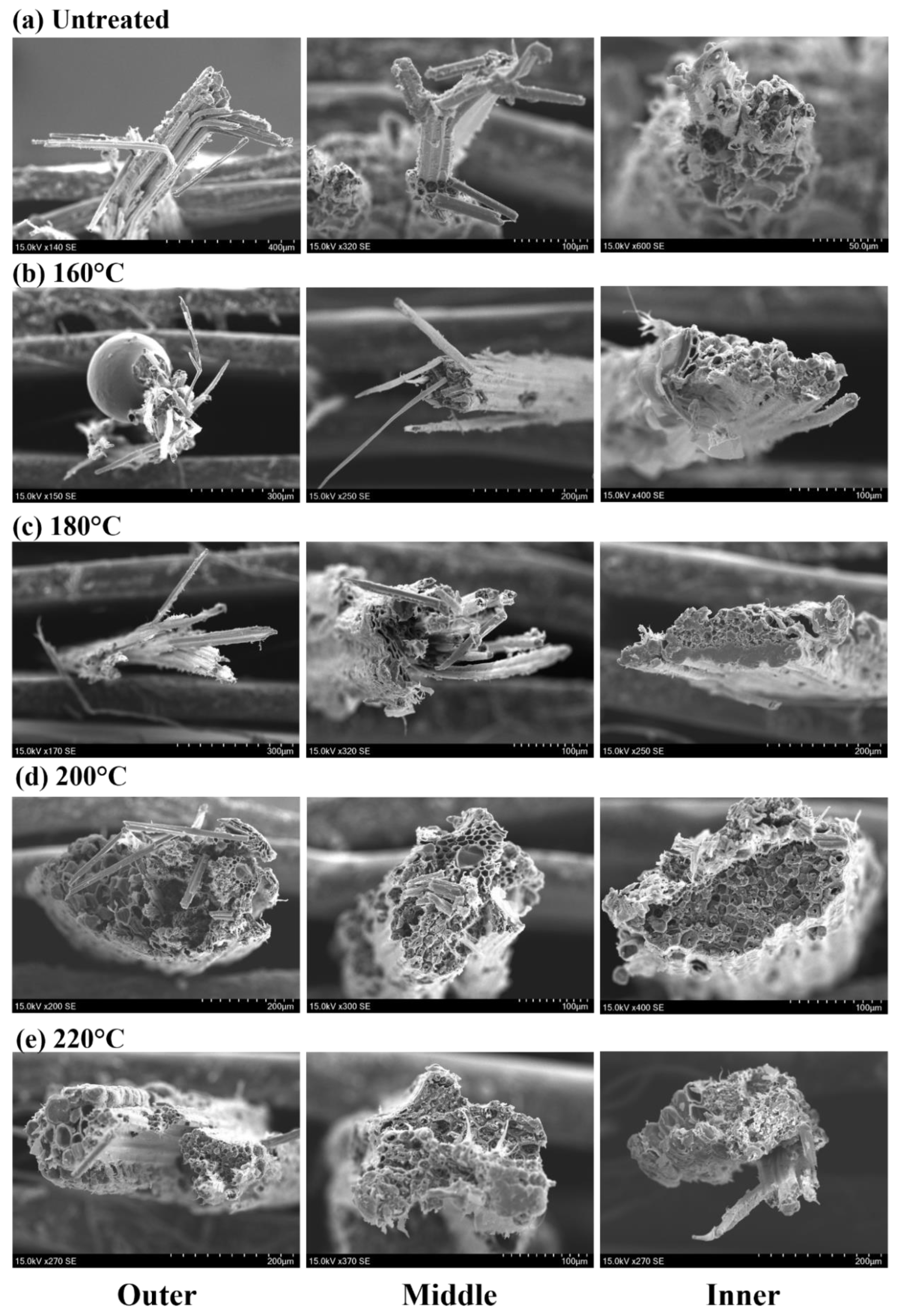 Materials 16 01239 g006