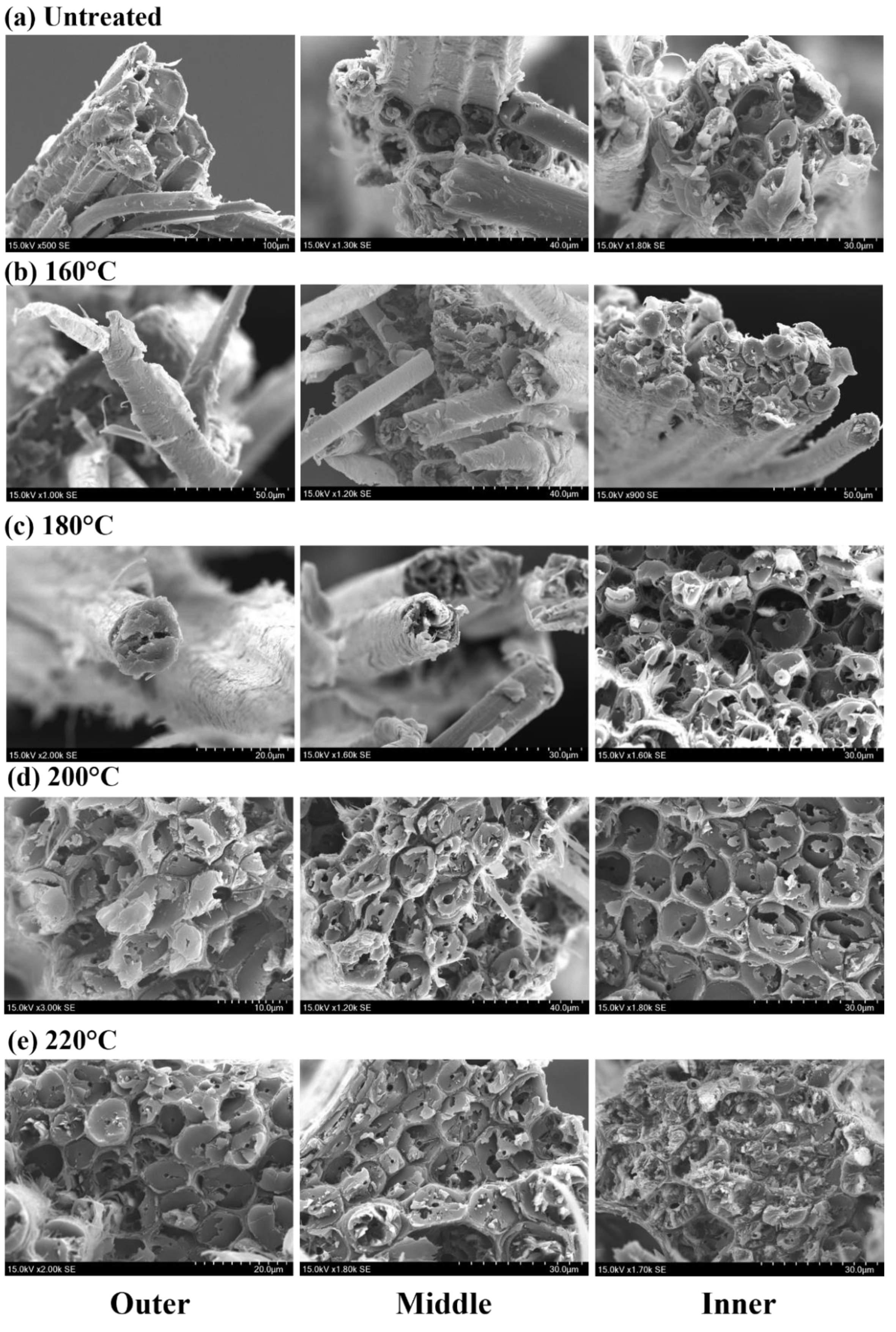 Materials 16 01239 g007