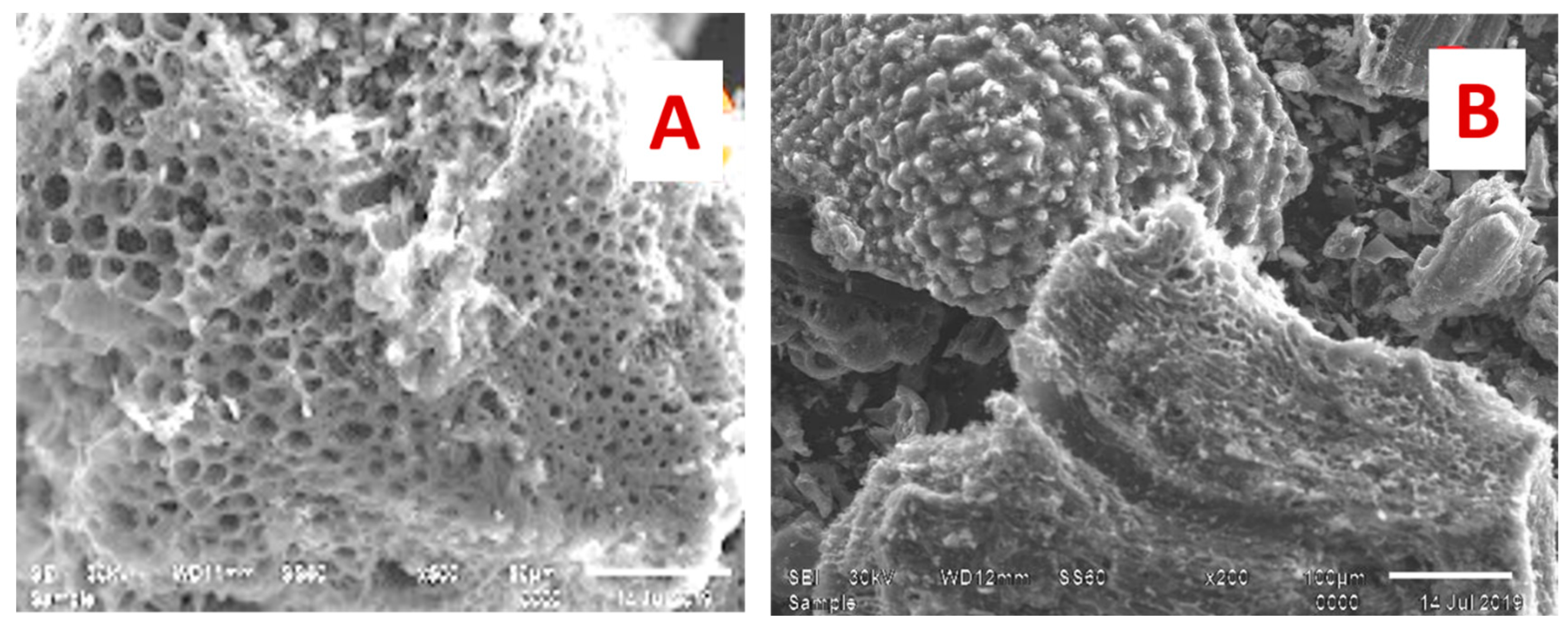 Materials 16 01251 g005