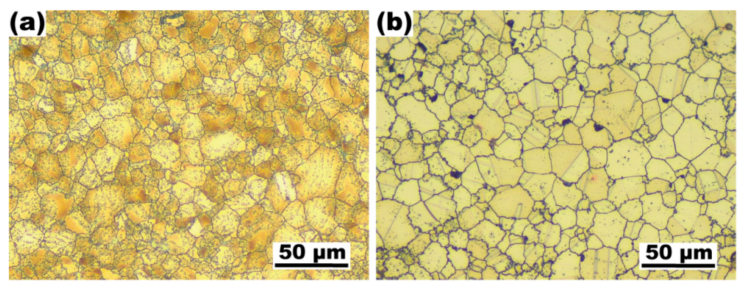 Materials 16 01252 g001 Materials 16 01252 g001