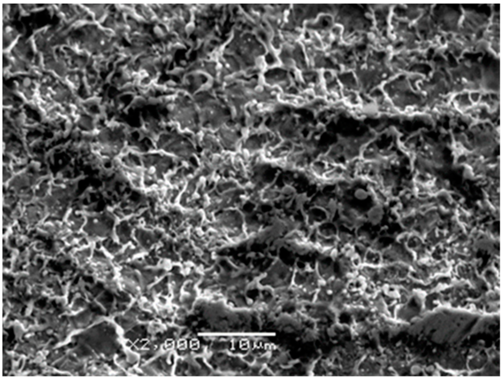 Materials 16 01267 g007