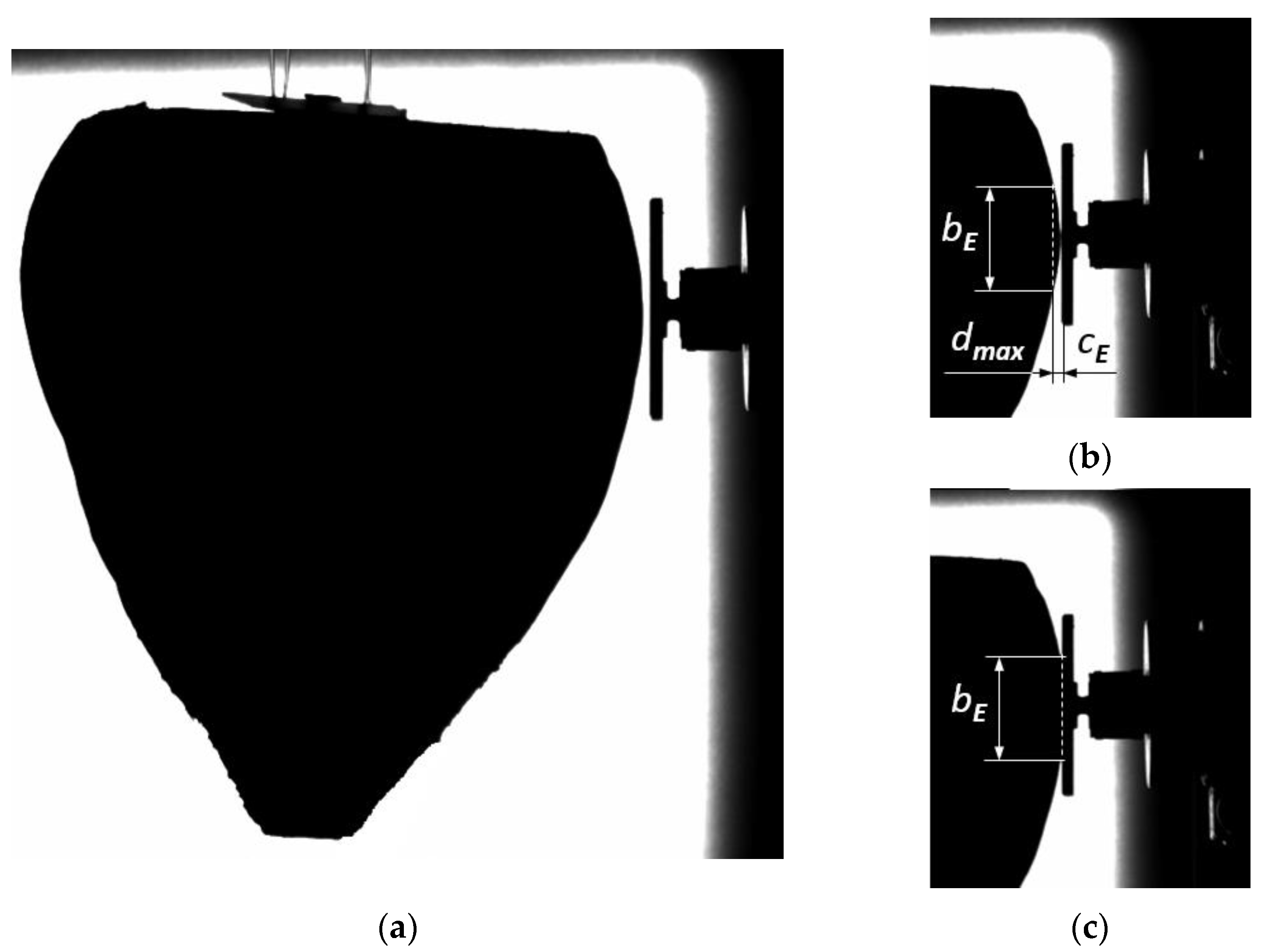 Materials 16 01281 g003 Materials 16 01281 g003