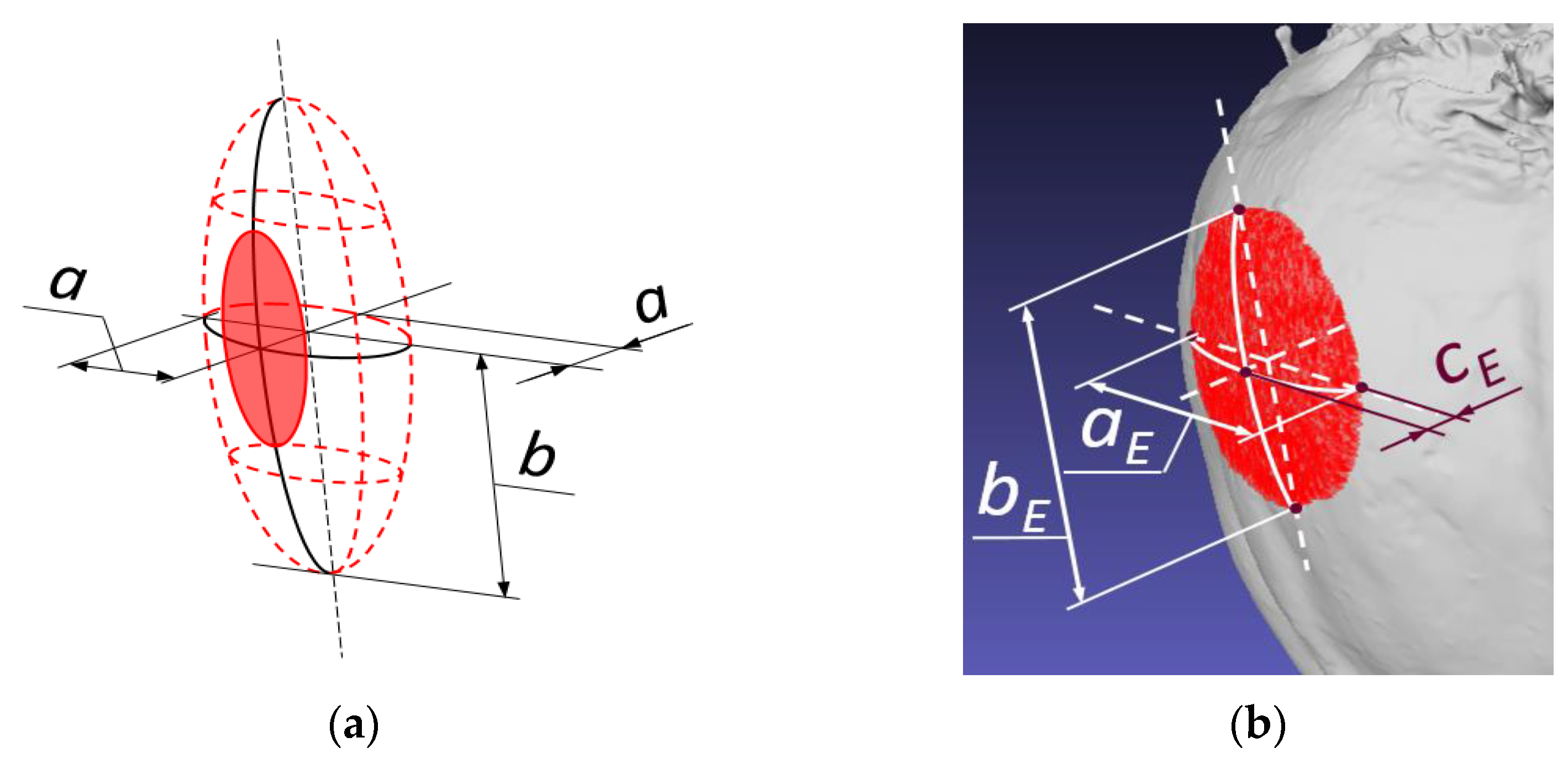 Materials 16 01281 g004 Materials 16 01281 g004