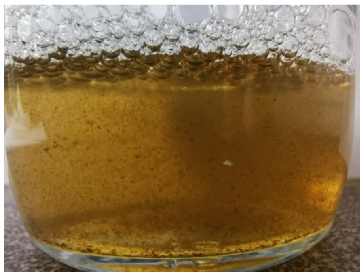 Materials 16 01296 g001