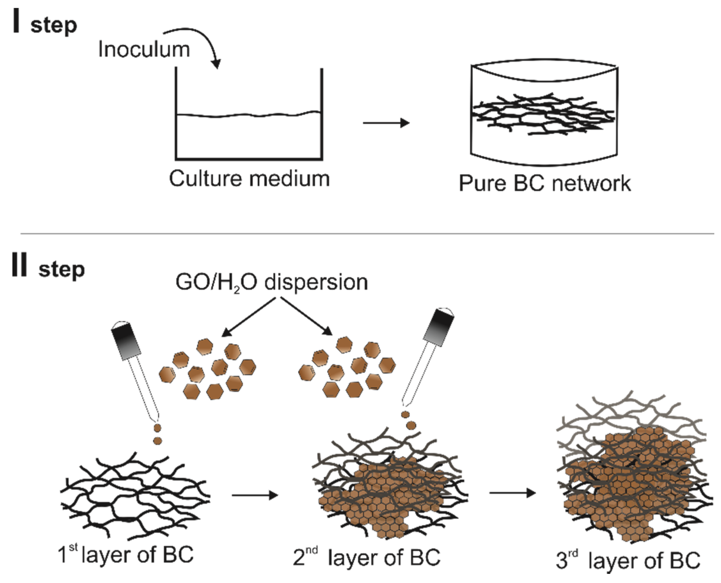Materials 16 01296 g002