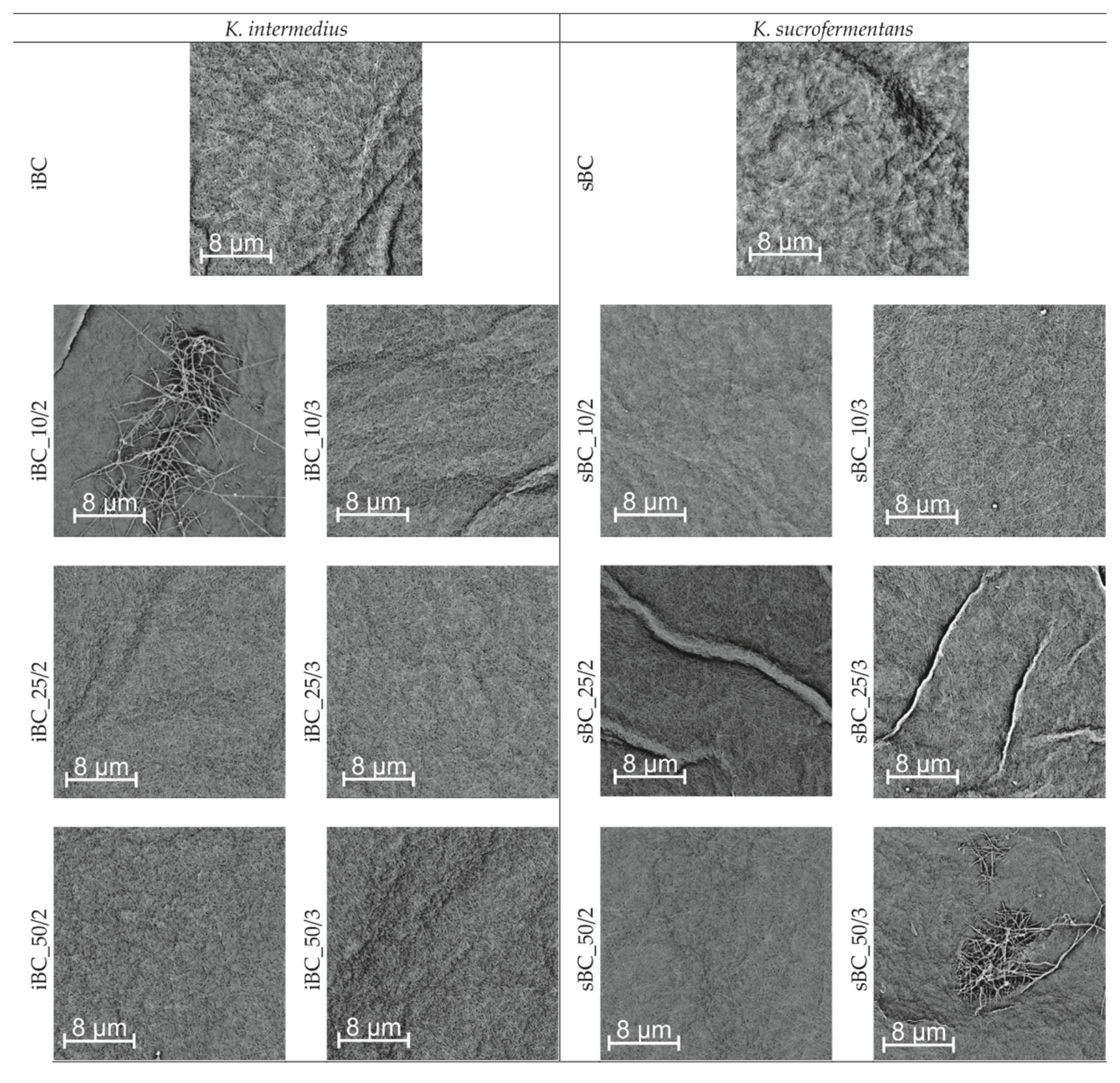 Materials 16 01296 g008