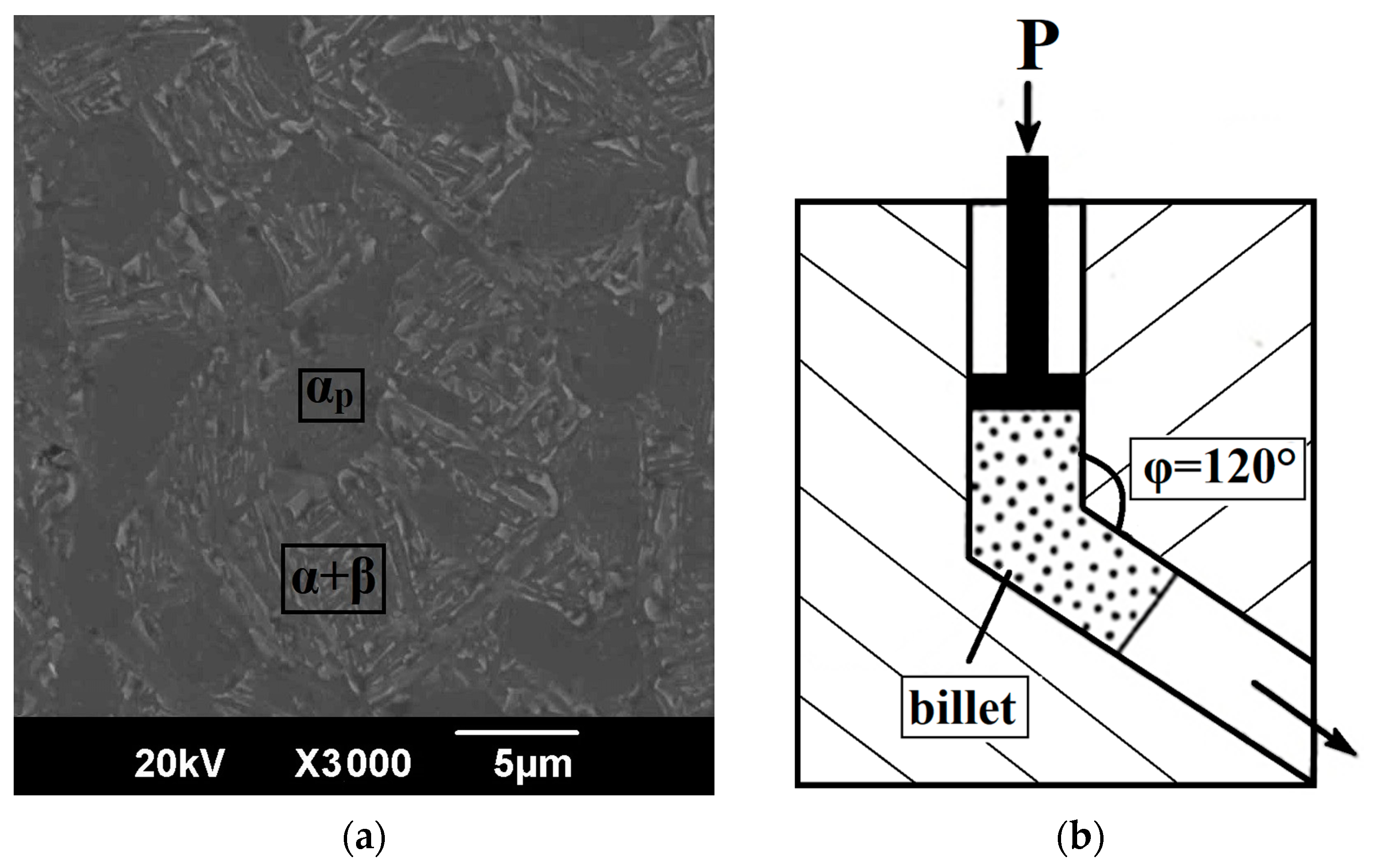 Materials 16 01318 g001