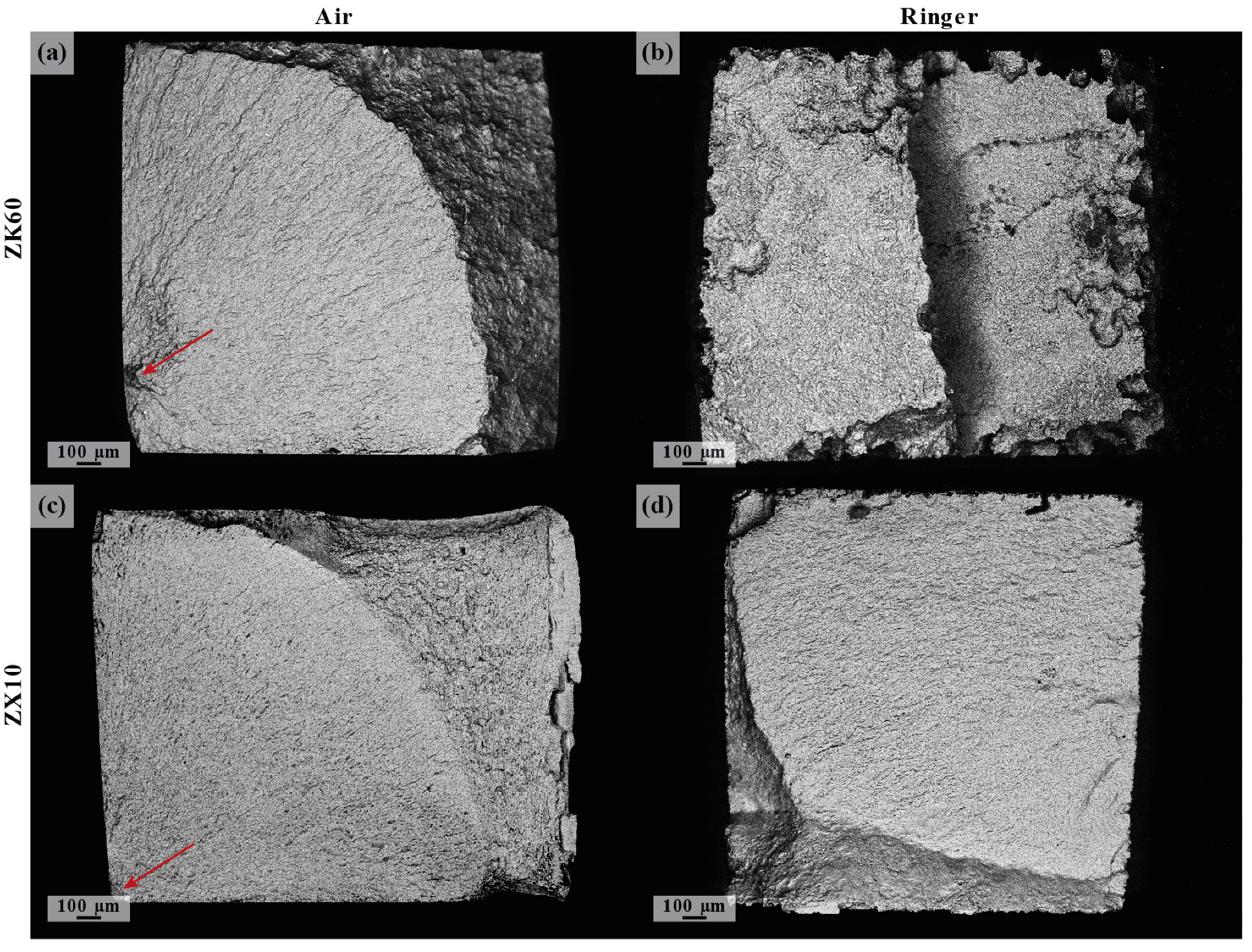 Materials 16 01324 g012