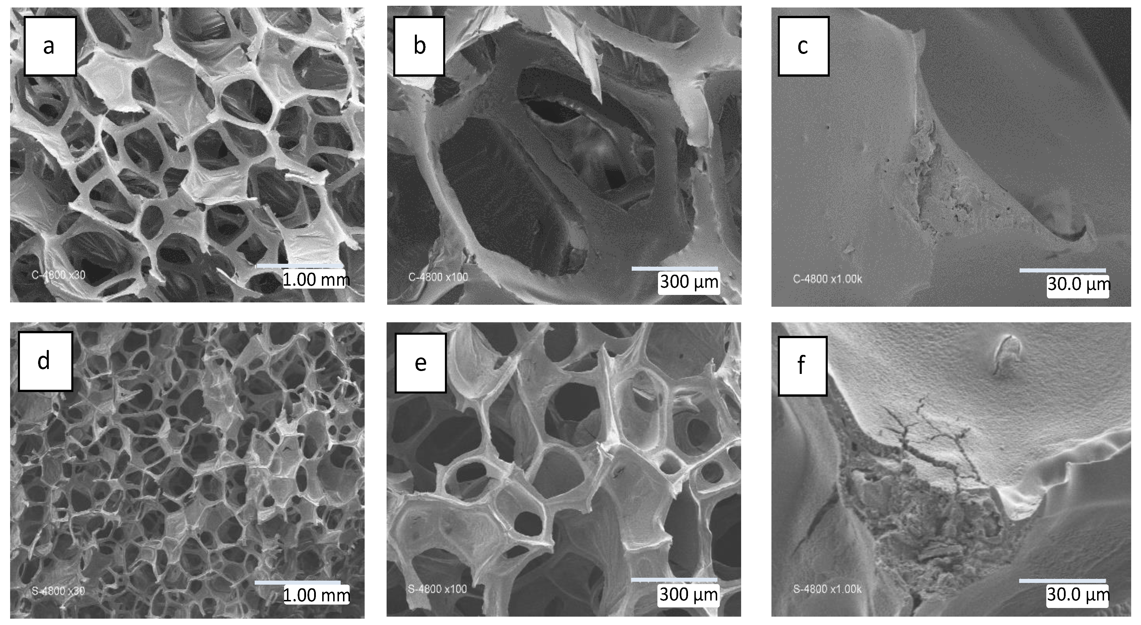 Materials 16 01328 g002 Materials 16 01328 g002