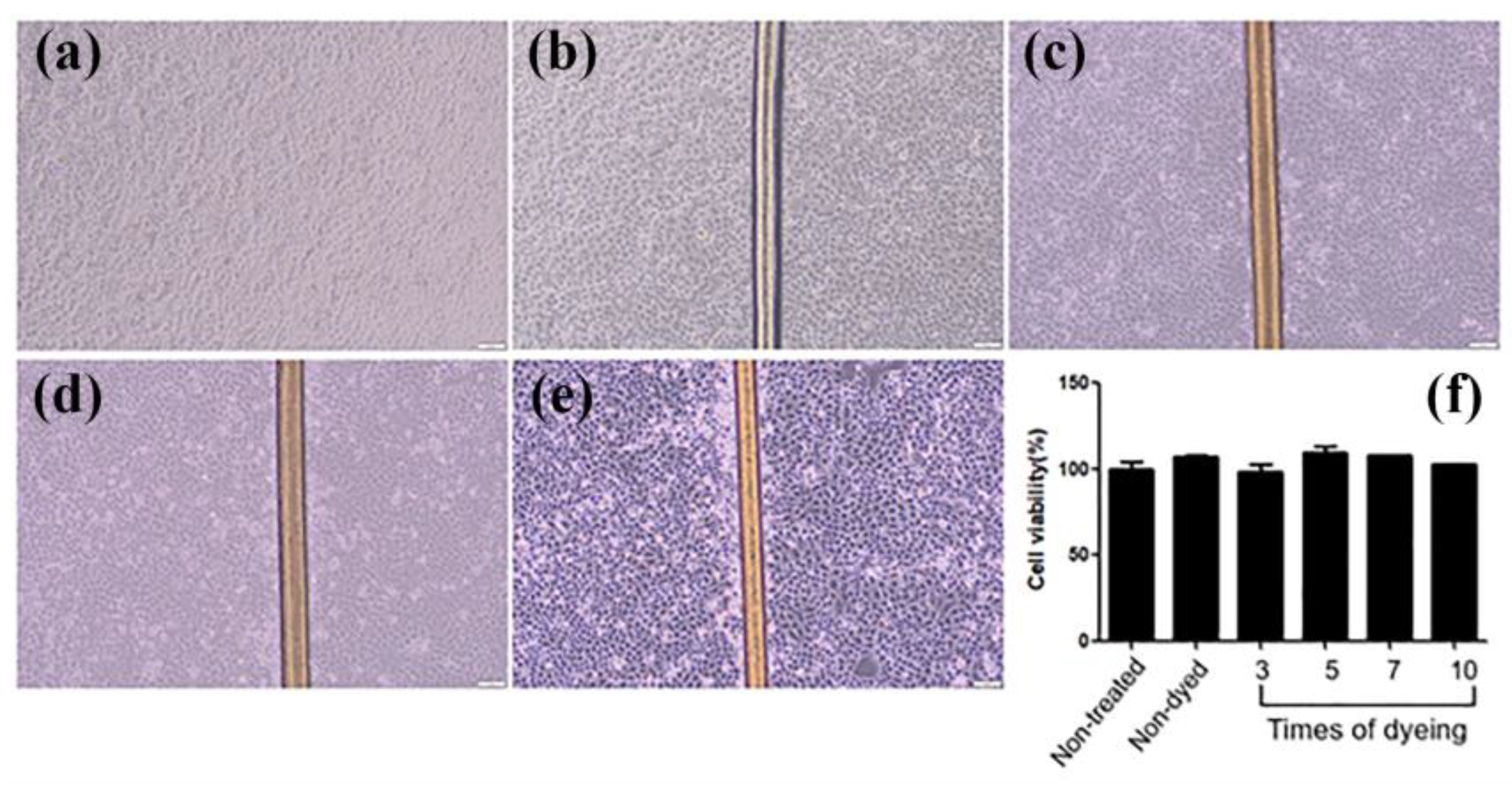Materials 16 01333 g007