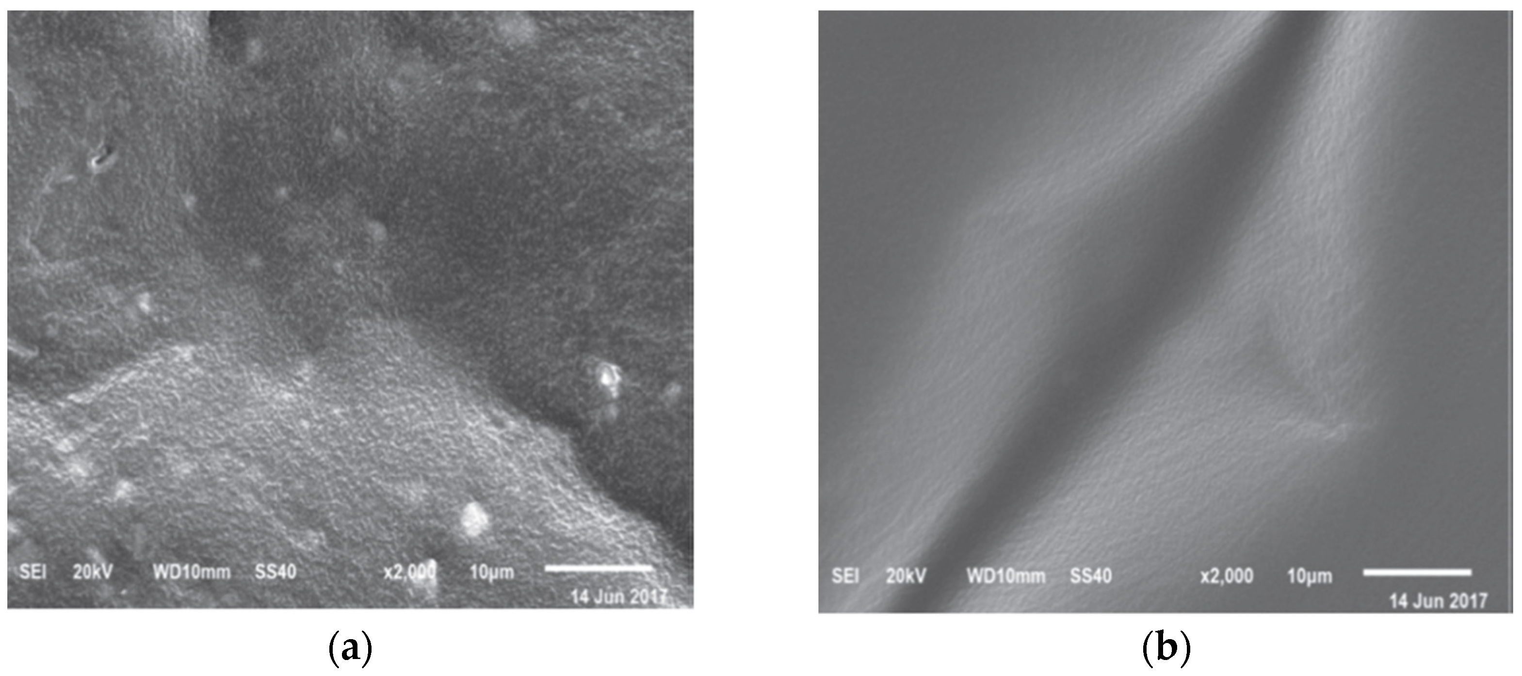 Materials 16 01341 g003