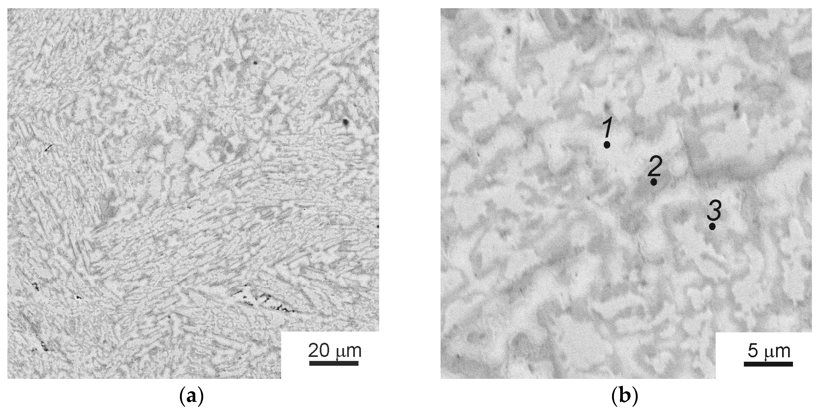 Materials 16 01354 g001