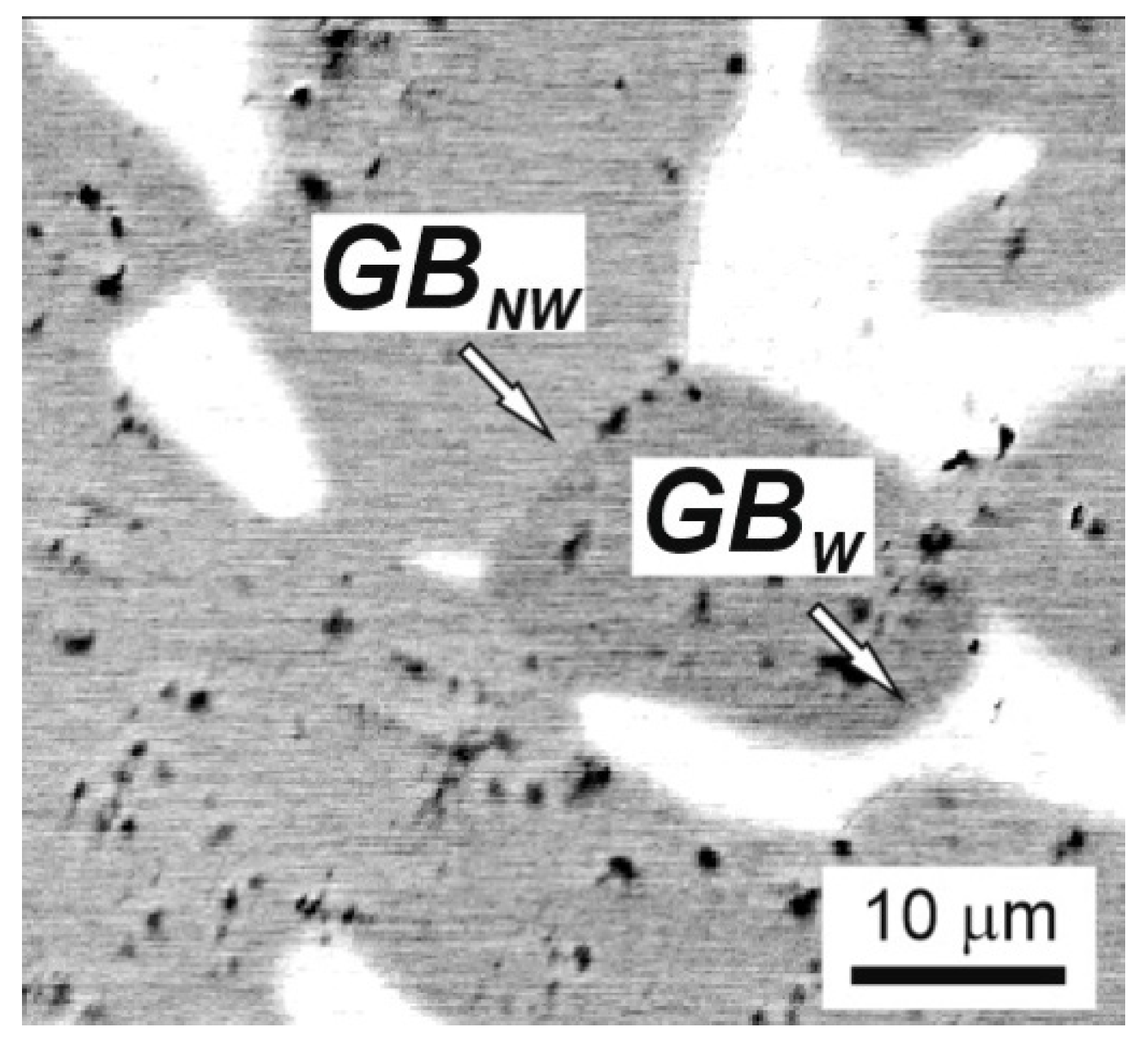 Materials 16 01354 g011