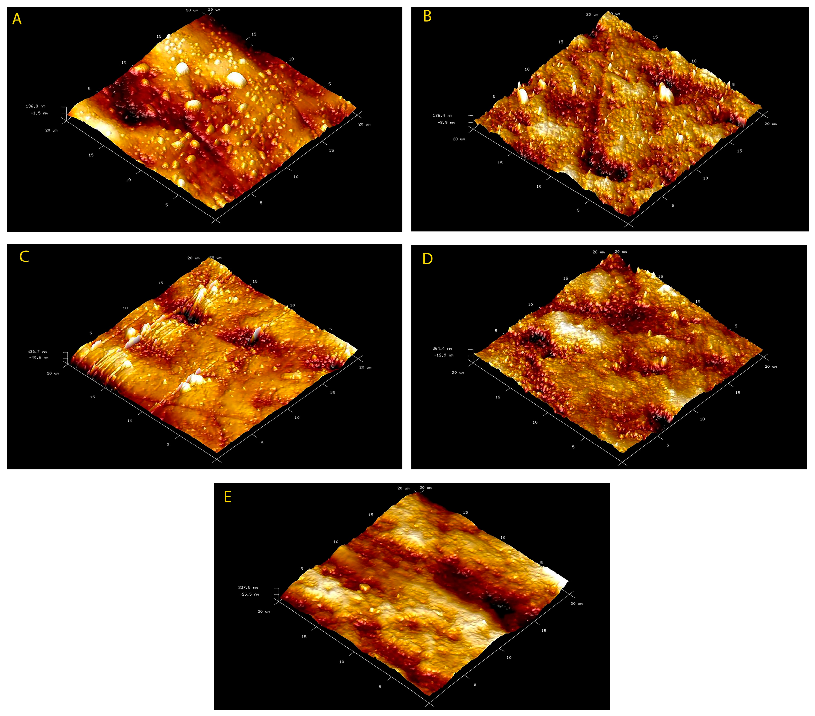 Materials 16 01368 g001