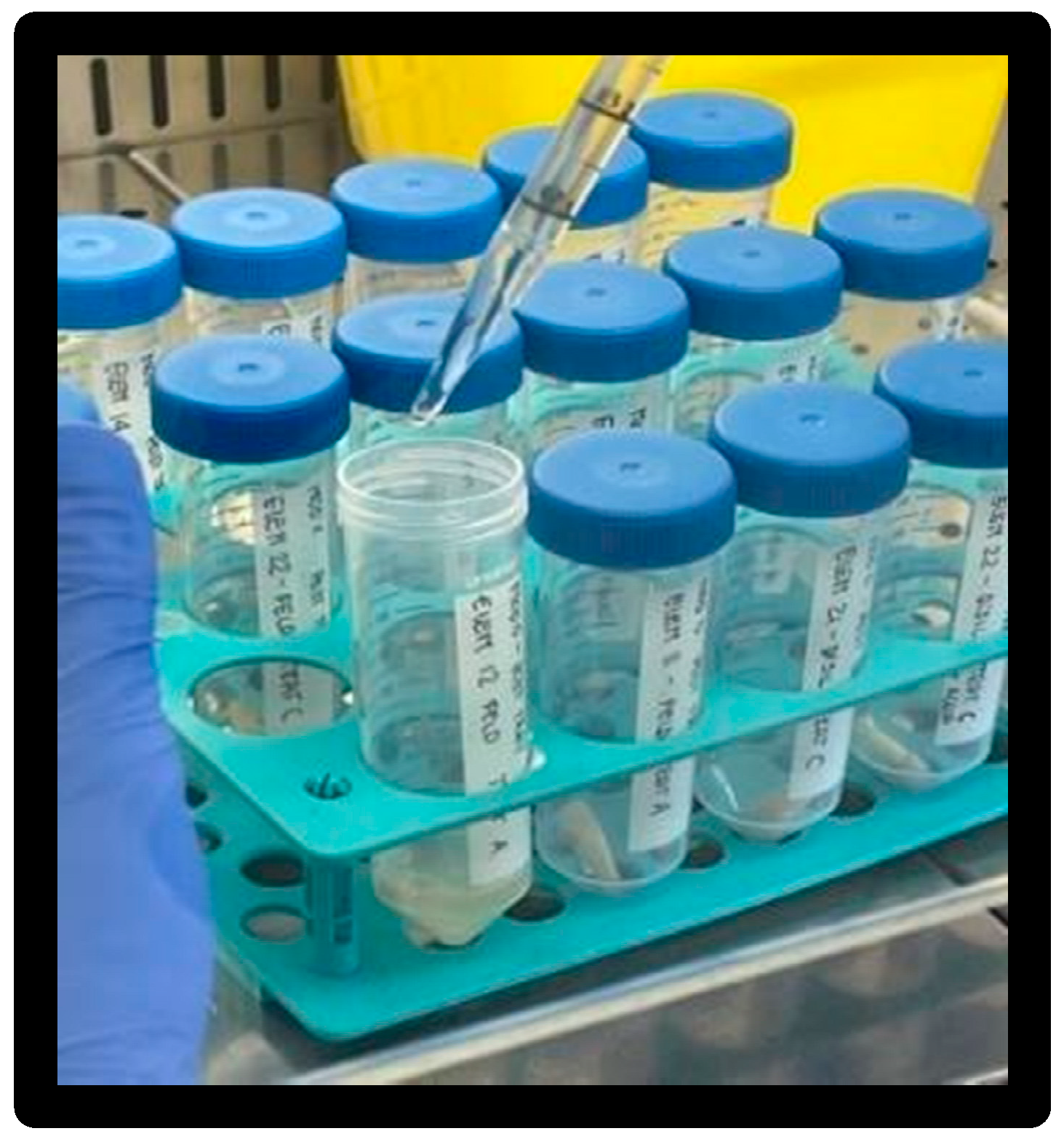 Materials 16 01373 g010