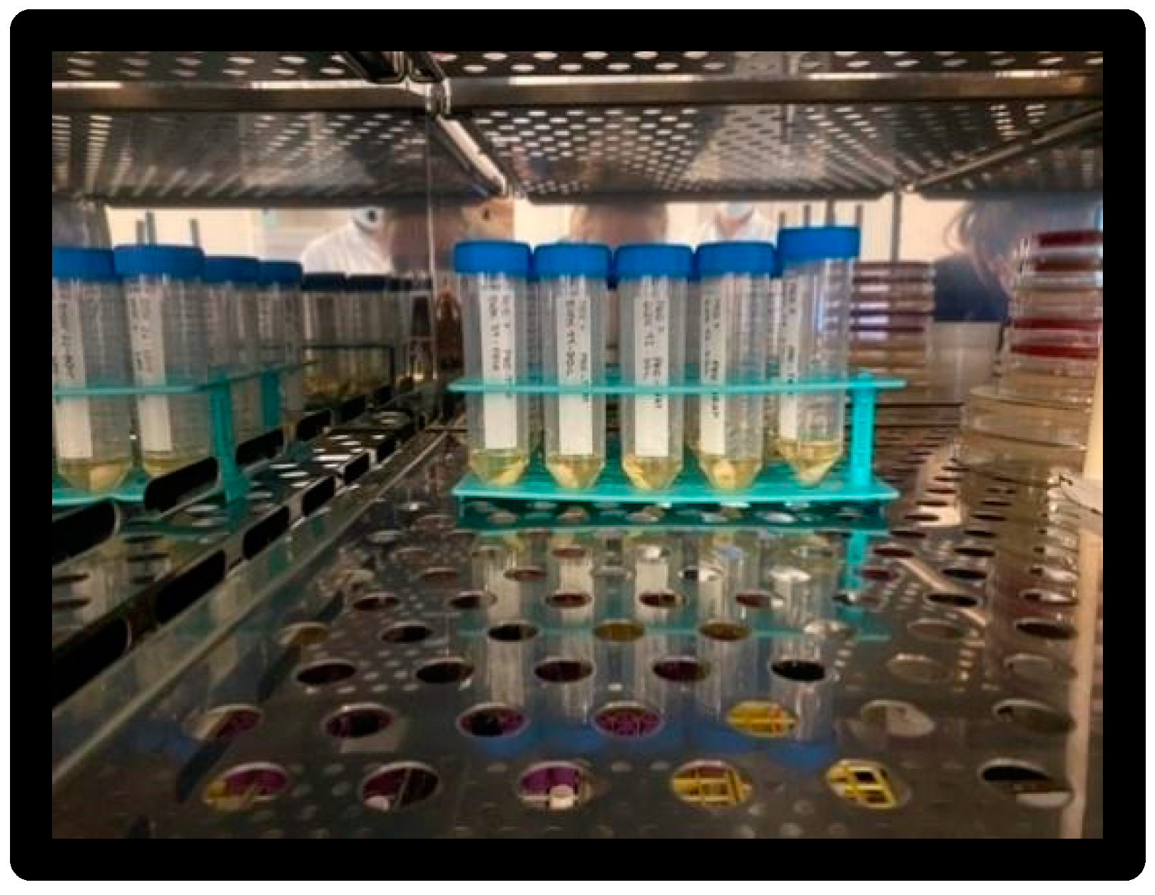 Materials 16 01373 g011