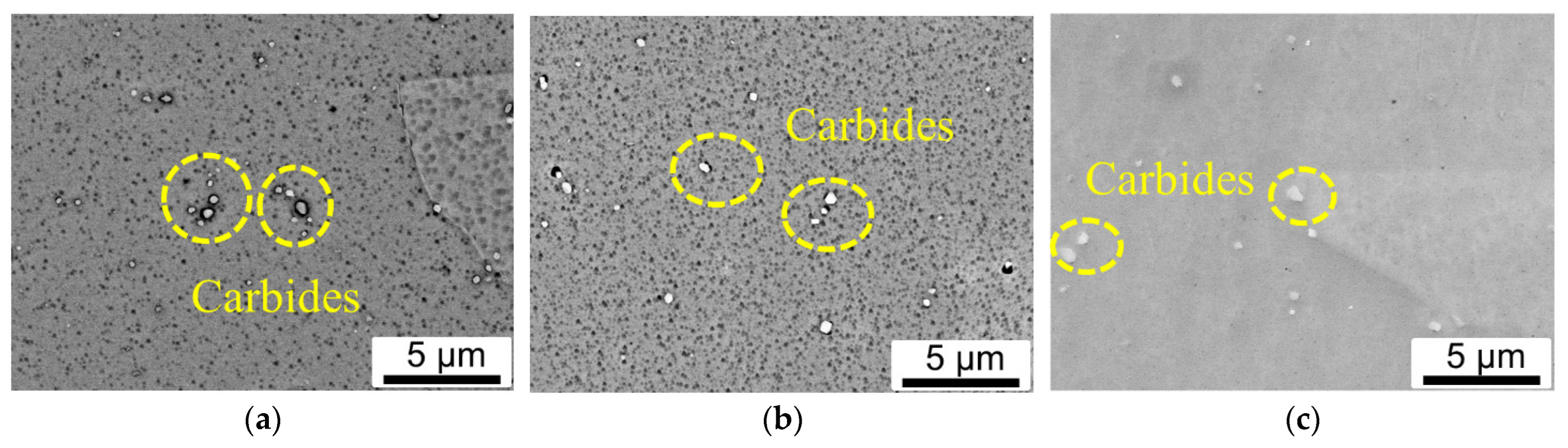Materials 16 01377 g002
