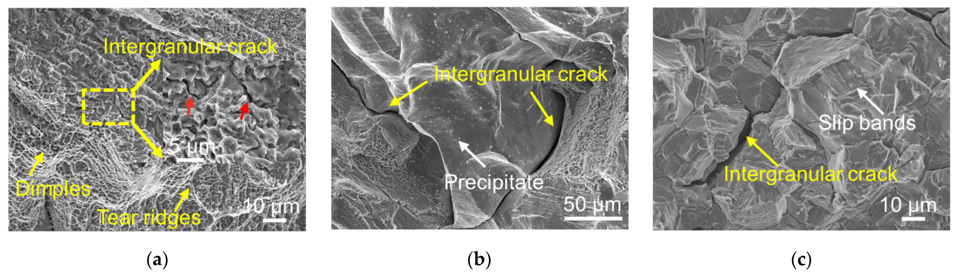 Materials 16 01377 g005
