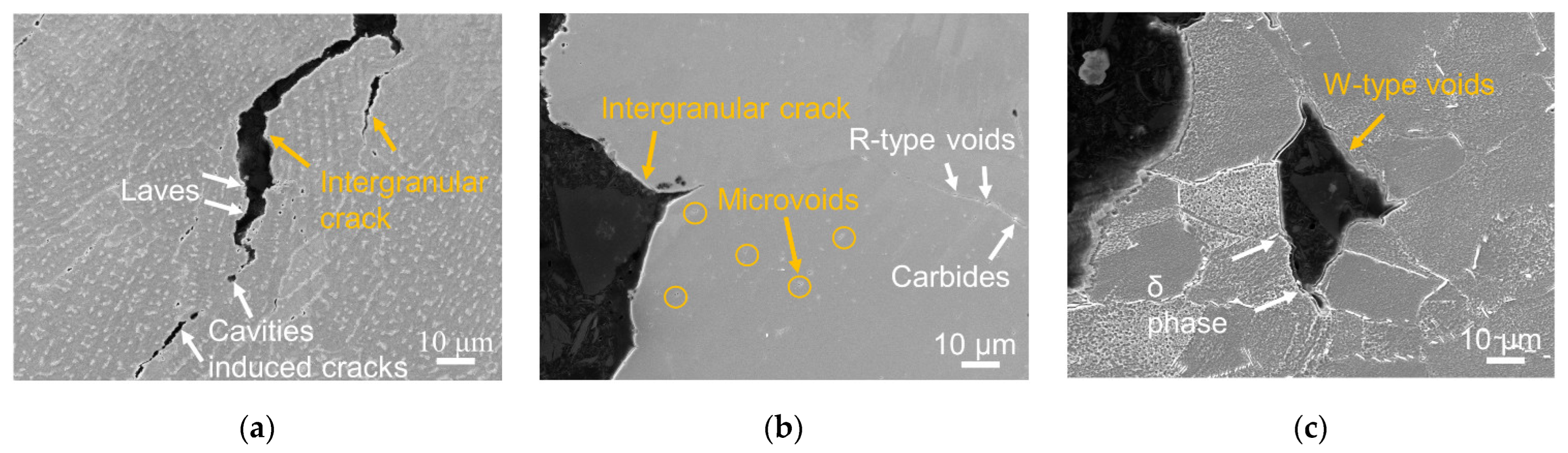 Materials 16 01377 g006