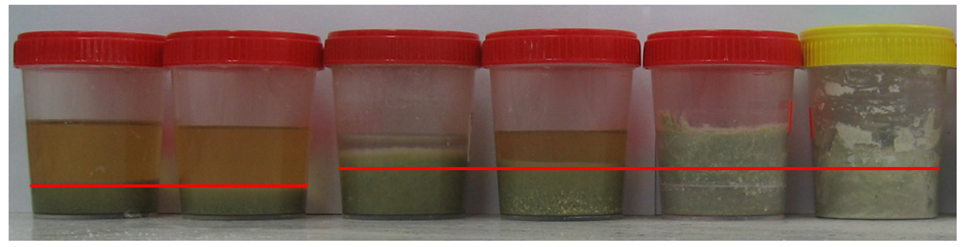 Materials 16 01416 g006