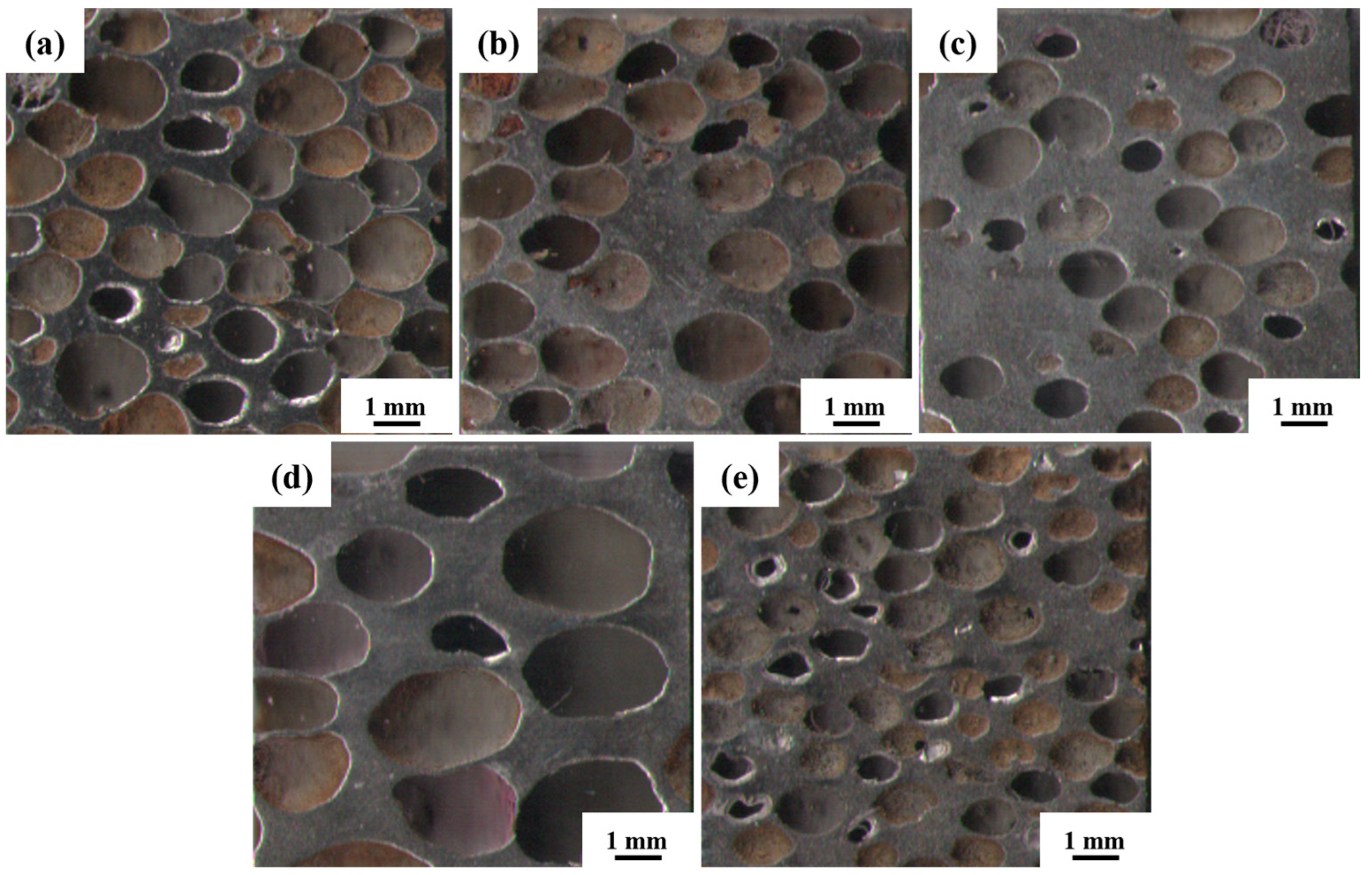 Materials 16 01419 g004