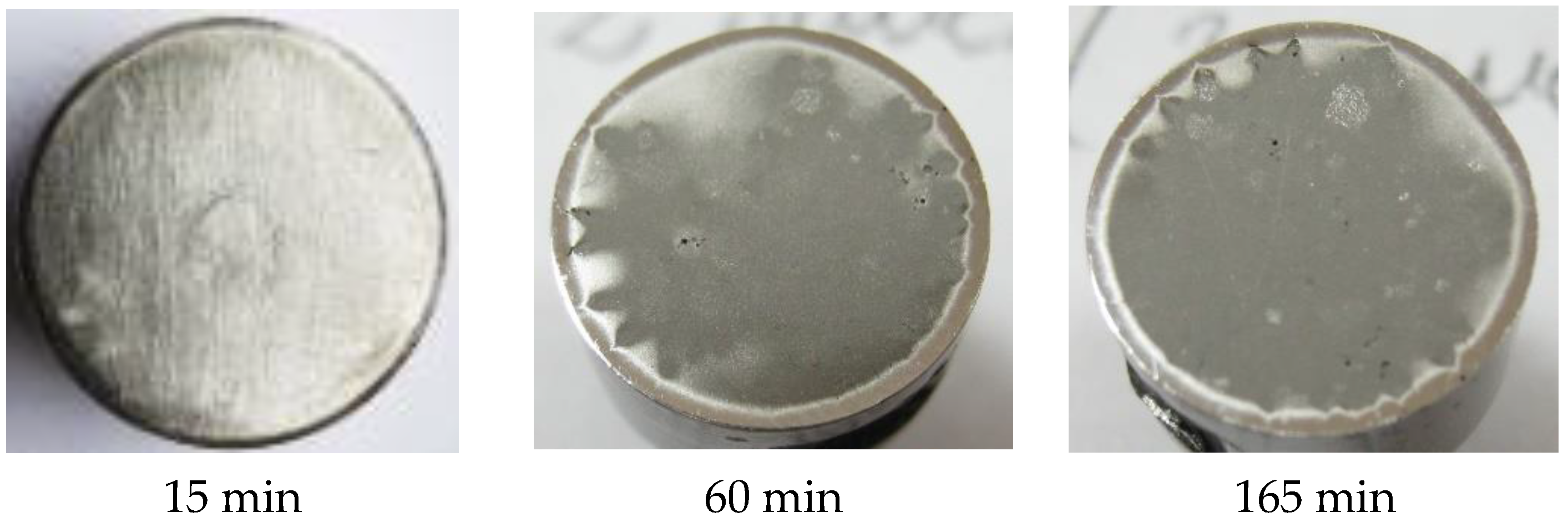 Materials 16 01423 g010