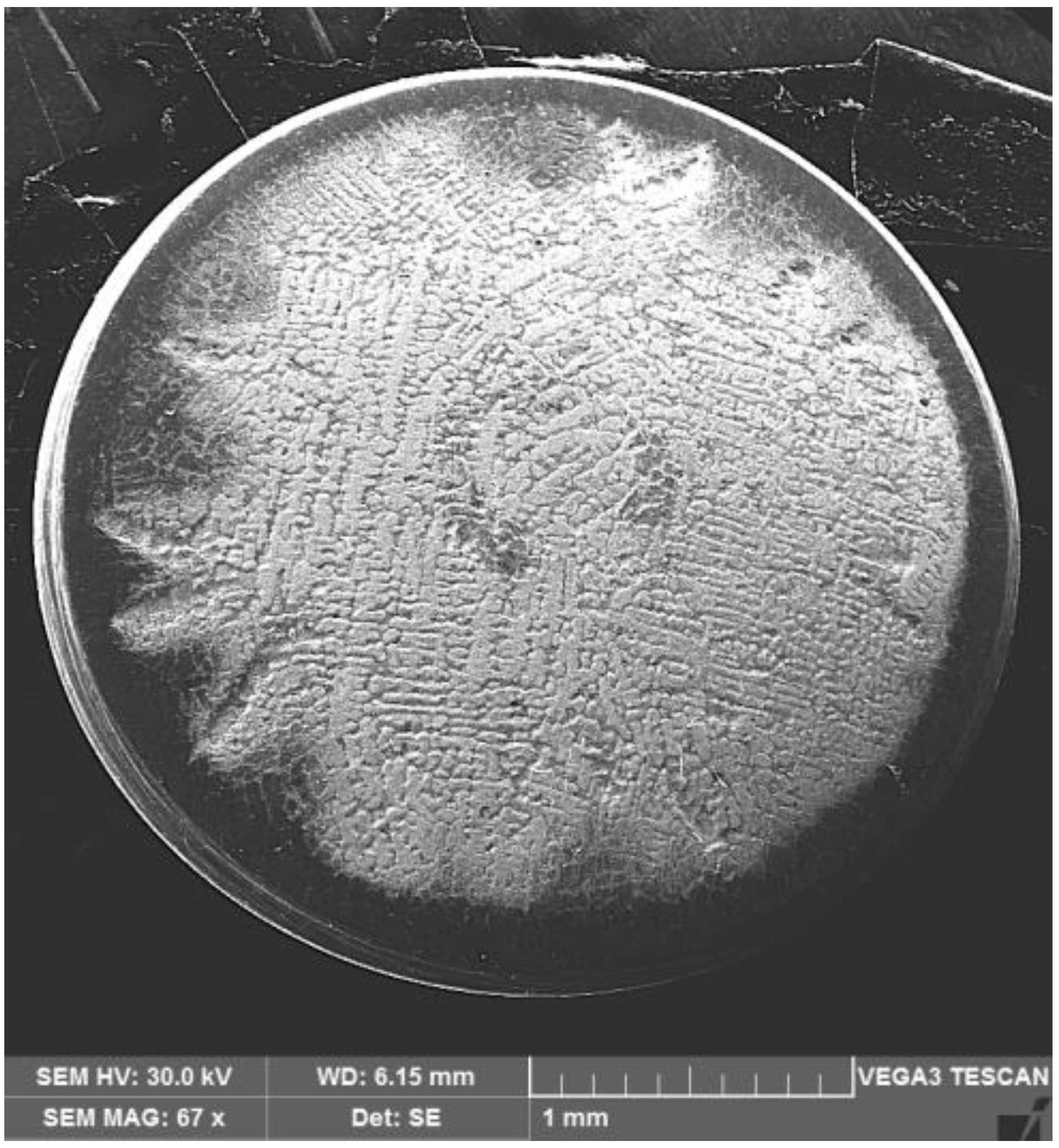 Materials 16 01423 g011