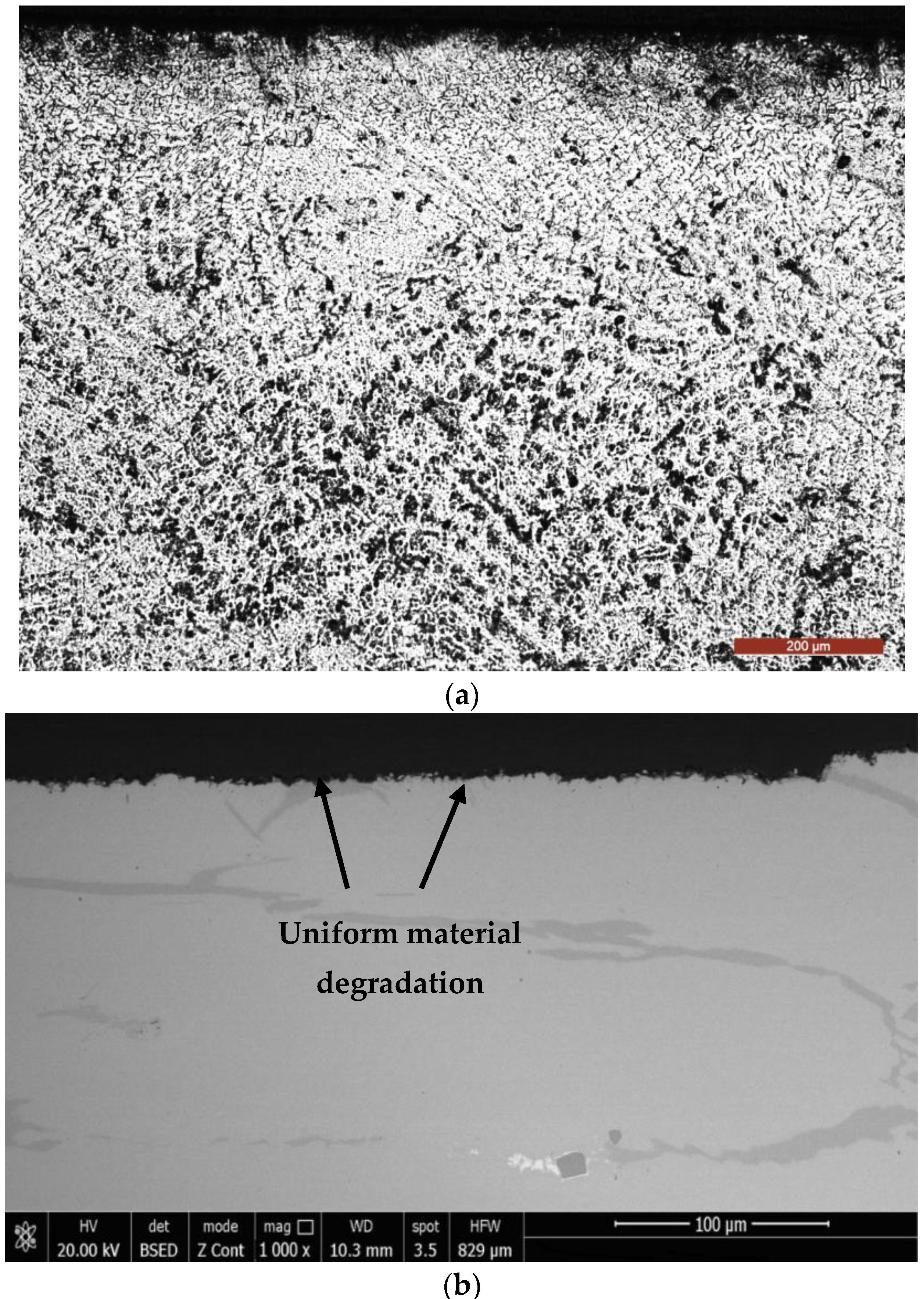Materials 16 01423 g014