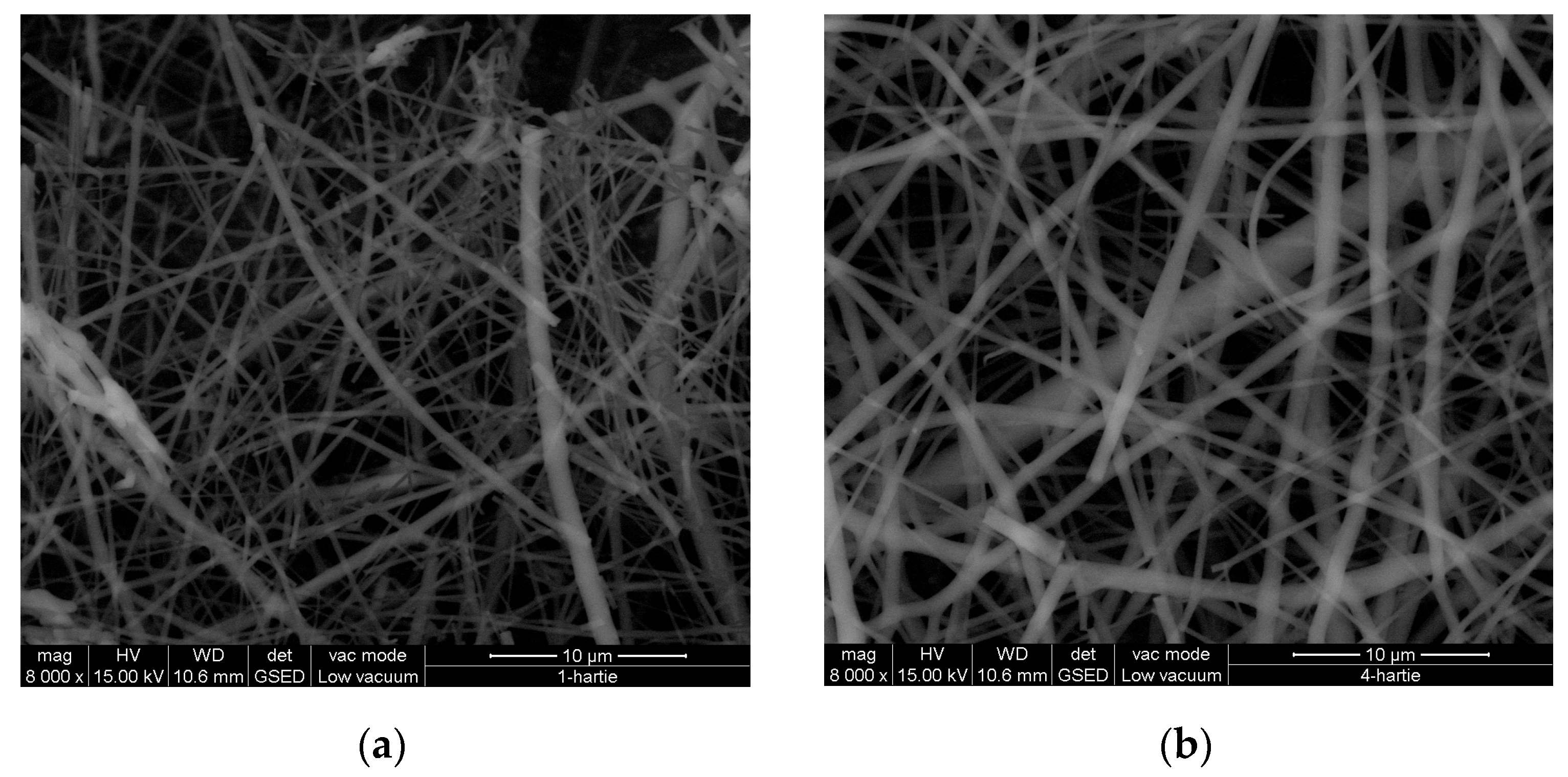 Materials 16 01438 g004