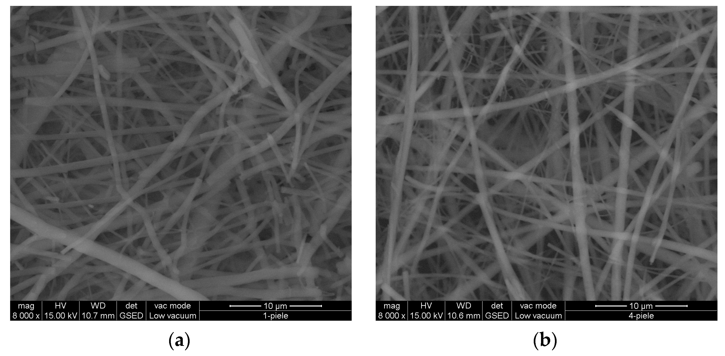 Materials 16 01438 g006